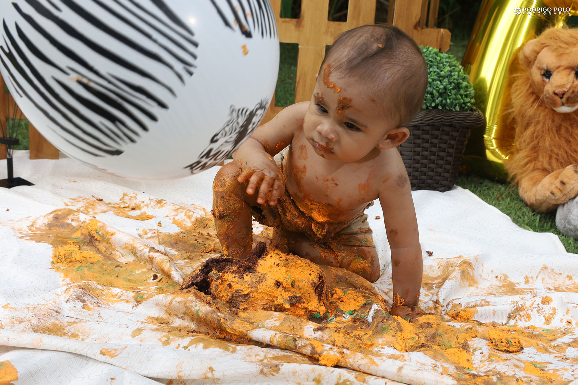 Foto Smash The Cake Kauan - Imagem 11