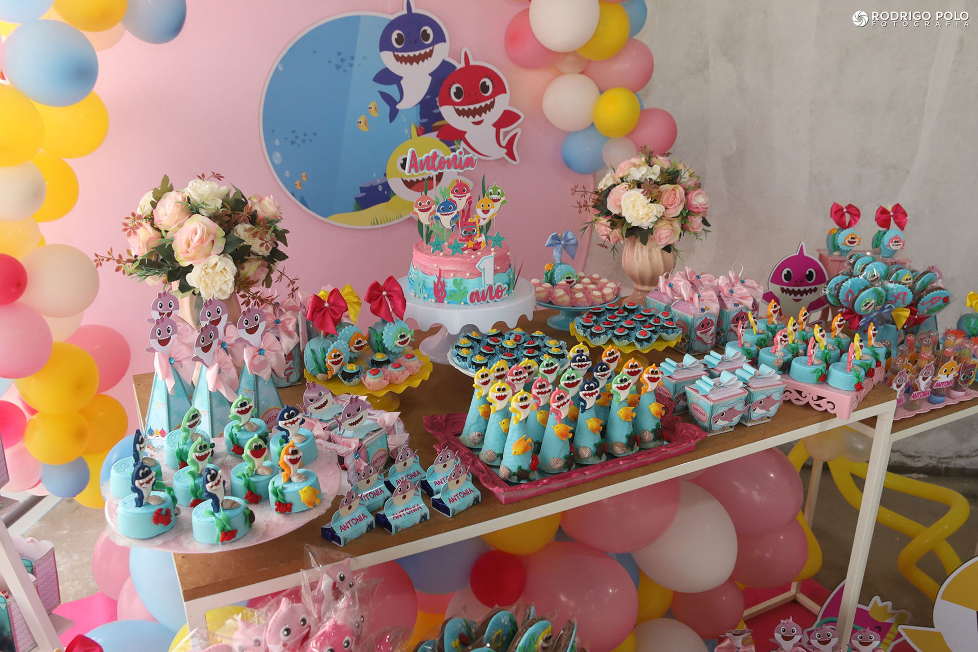 Foto Aniversário Antonia - 1 Aninho - Imagem 6