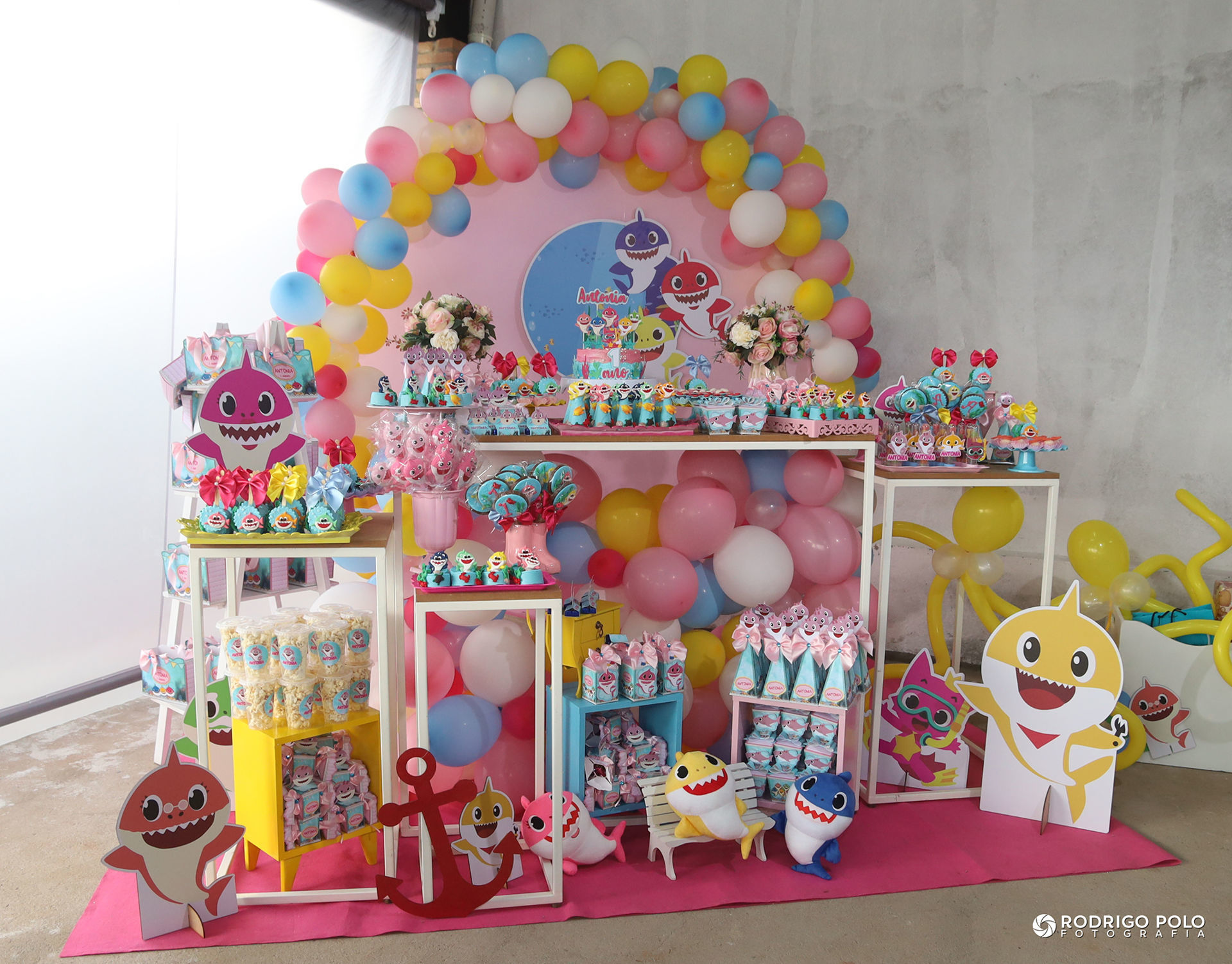 Foto Aniversário Antonia - 1 Aninho - Imagem 5