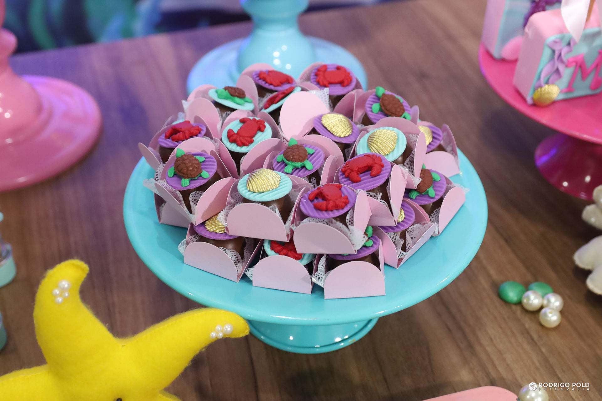 Foto Aniversário Manu - 5 Anos - Imagem 5