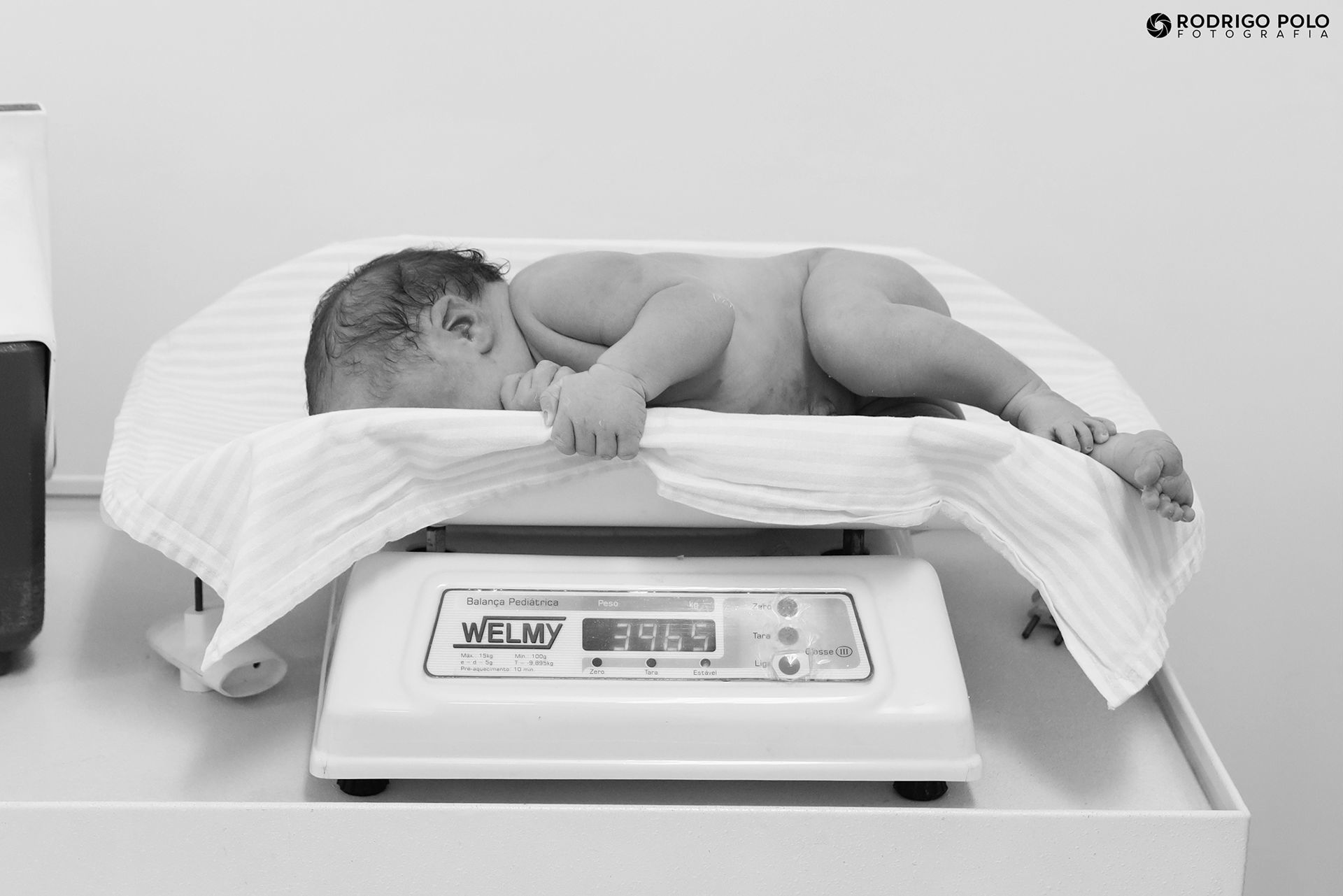 Foto Nascimento da Aurora - Imagem 7