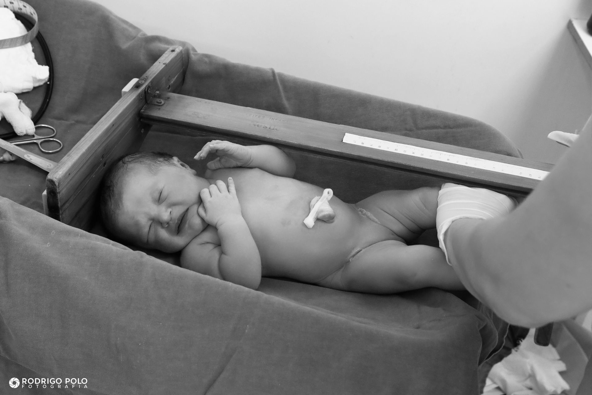 Foto Nascimento da Aurora - Imagem 6