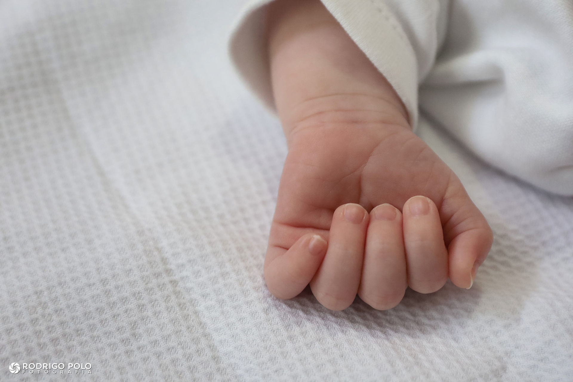 Foto Newborn da Aurora - Imagem 11