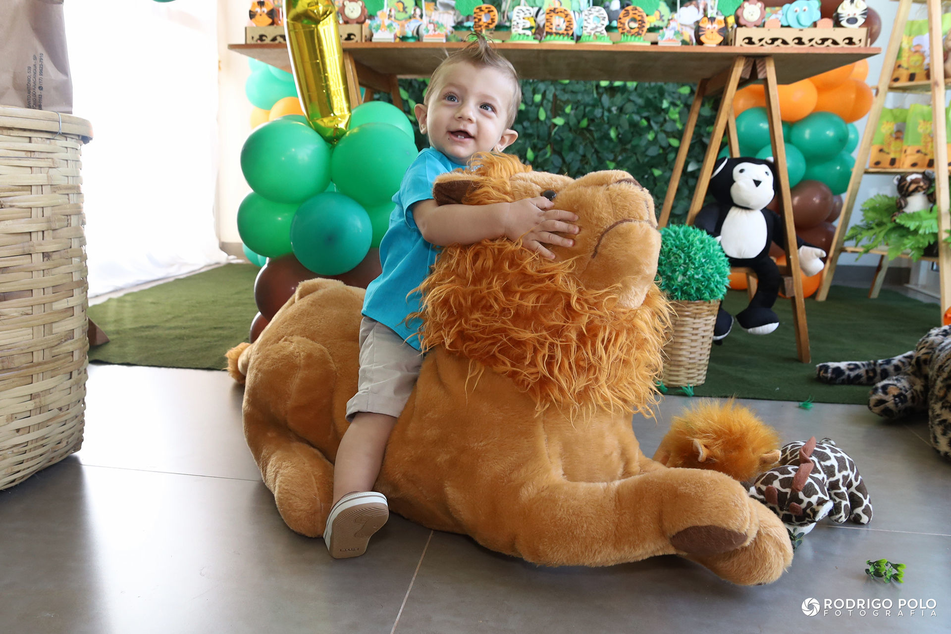 Foto Aniversário Pedro - 1 Ano - Imagem 7