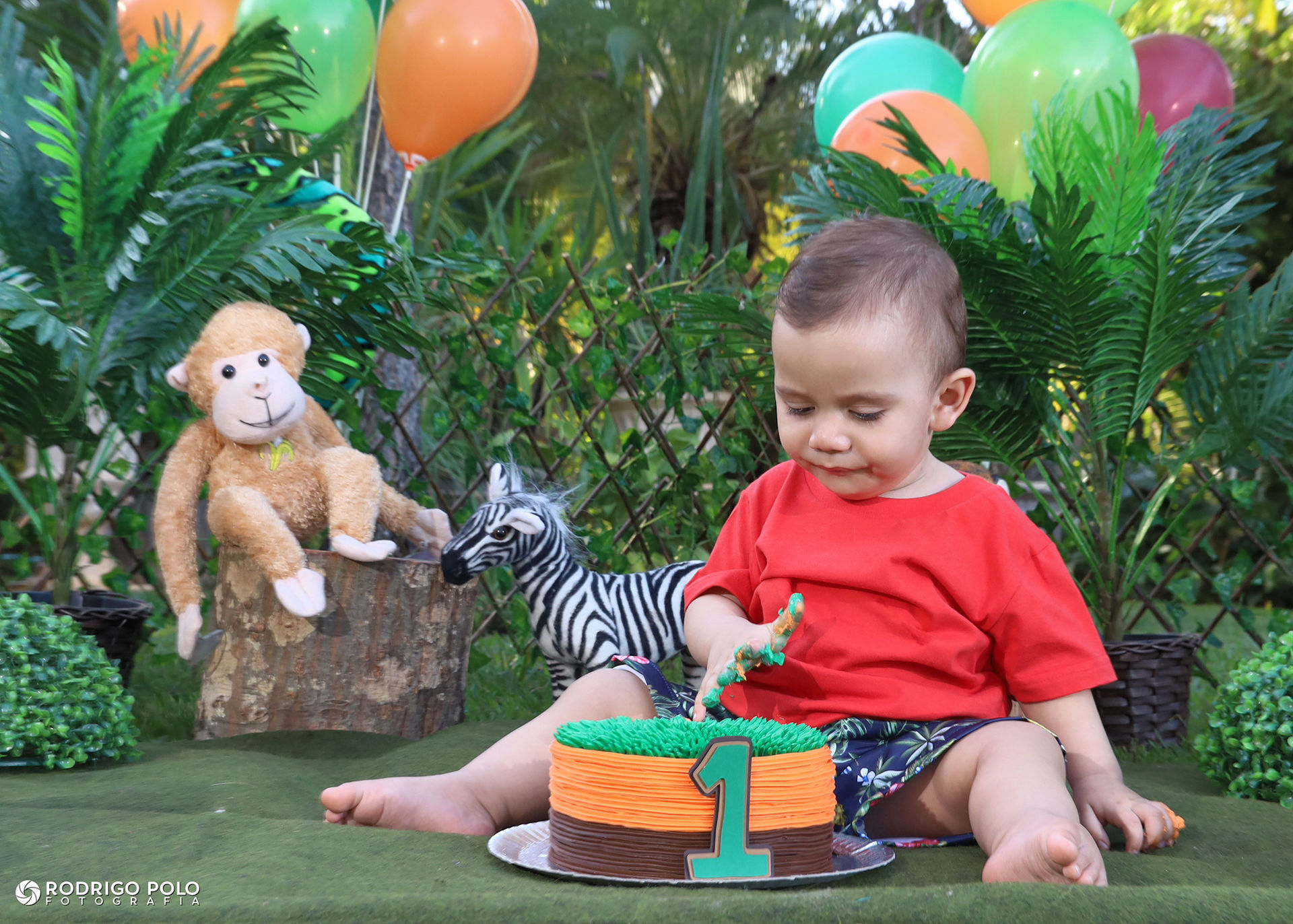 Foto Smash The Cake Caetano - Imagem 11