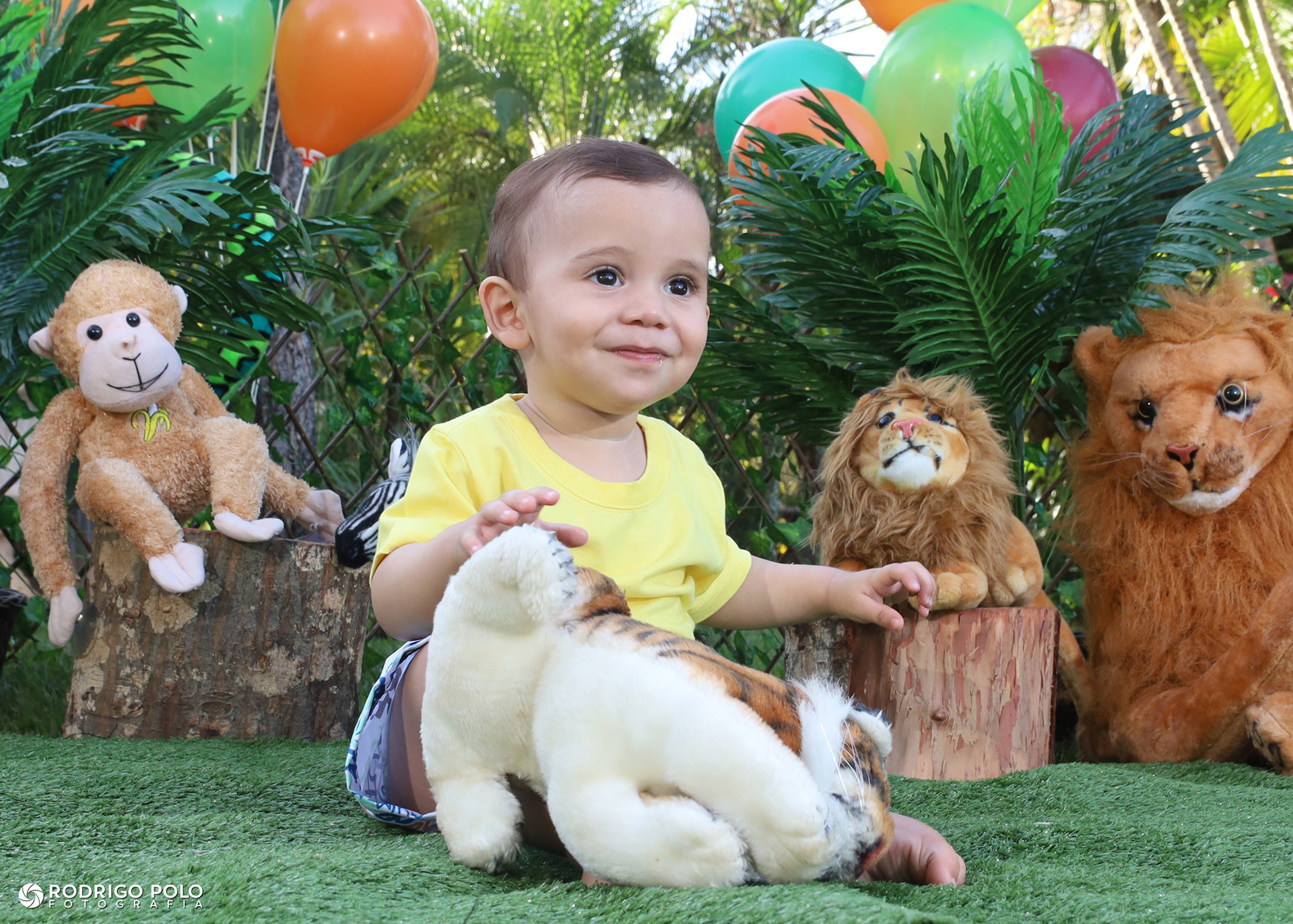 Foto Smash The Cake Caetano - Imagem 3