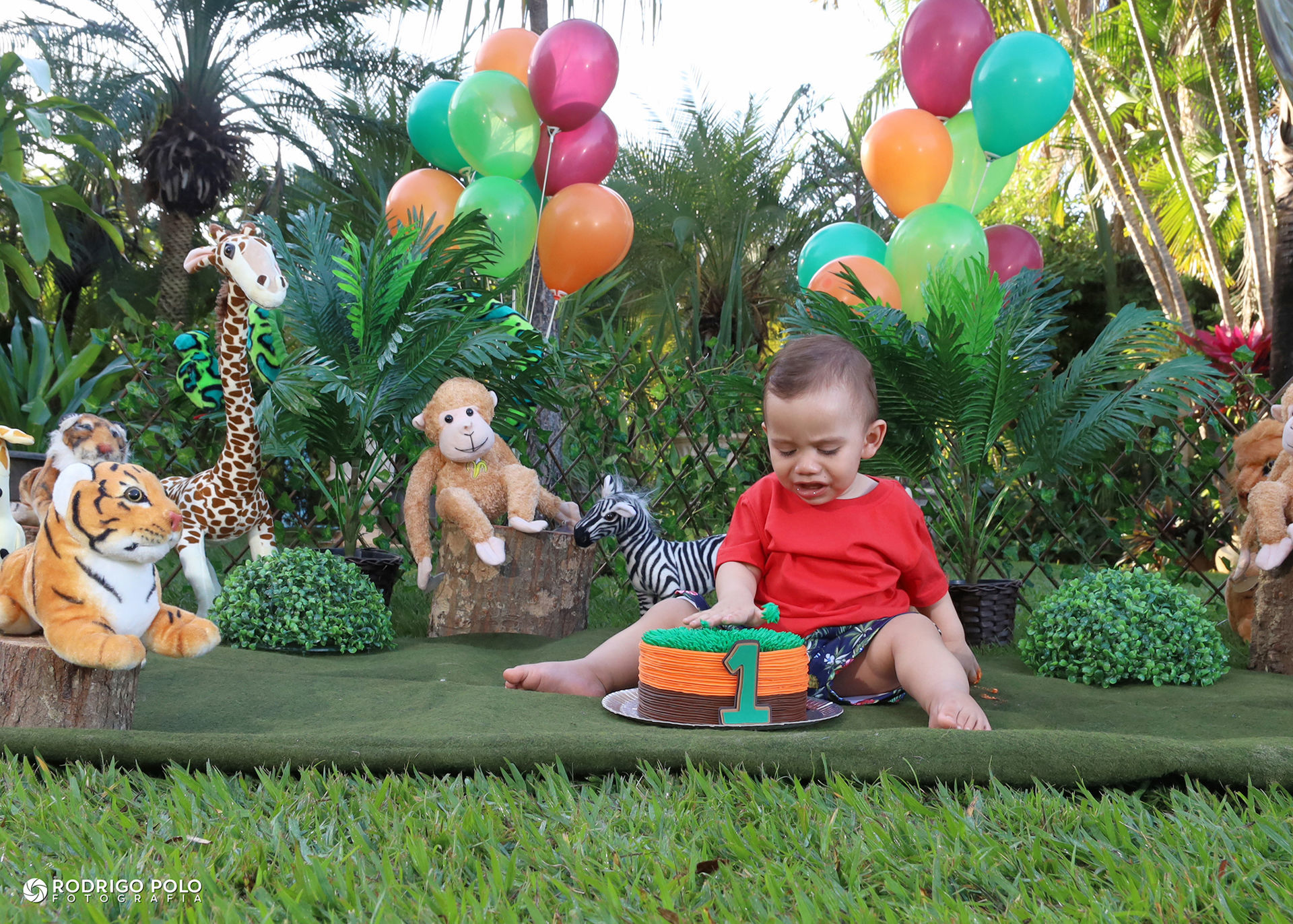 Foto Smash The Cake Caetano - Imagem 10