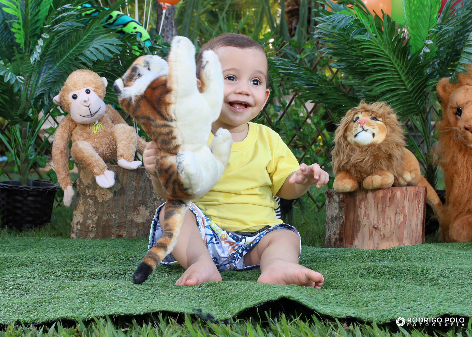 Foto Smash The Cake Caetano - Imagem 2