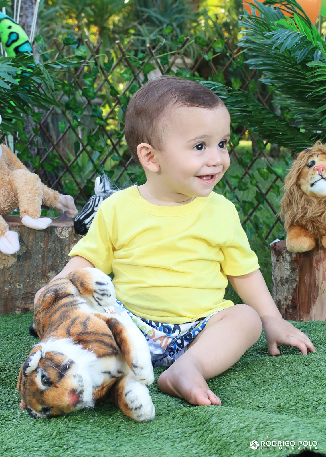 Foto Smash The Cake Caetano - Imagem 1