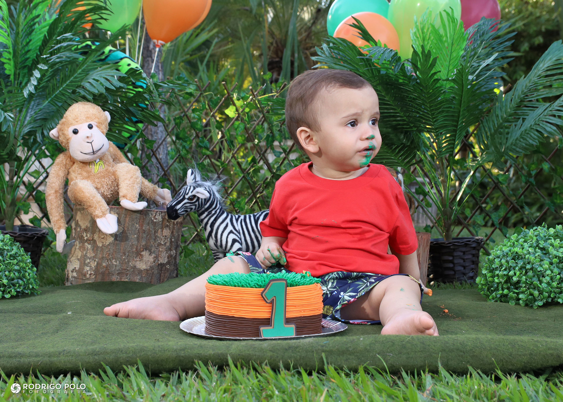 Foto Smash The Cake Caetano - Imagem 12