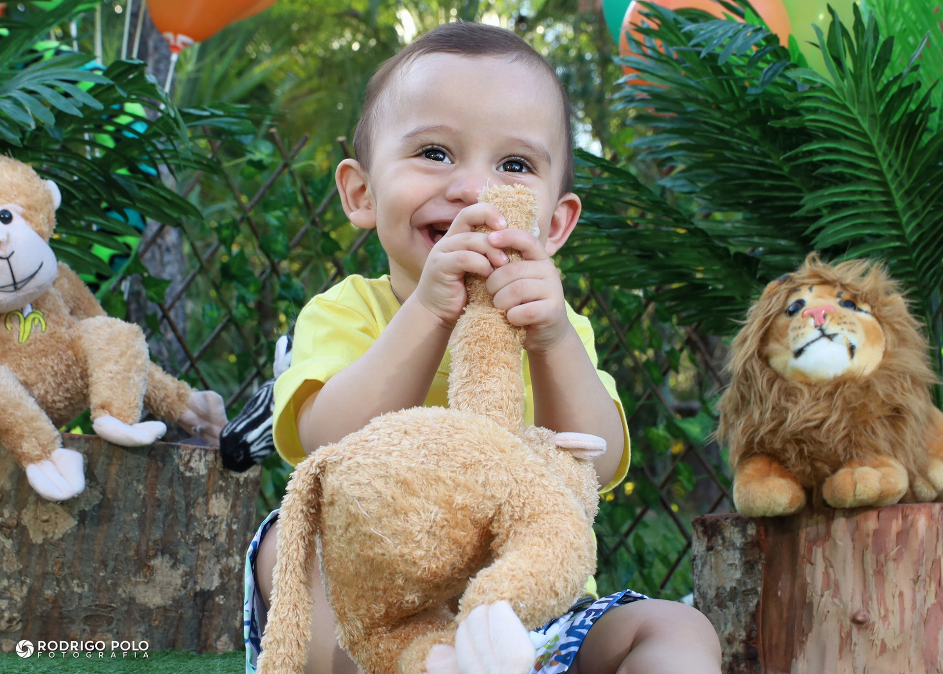 Foto Smash The Cake Caetano - Imagem 6