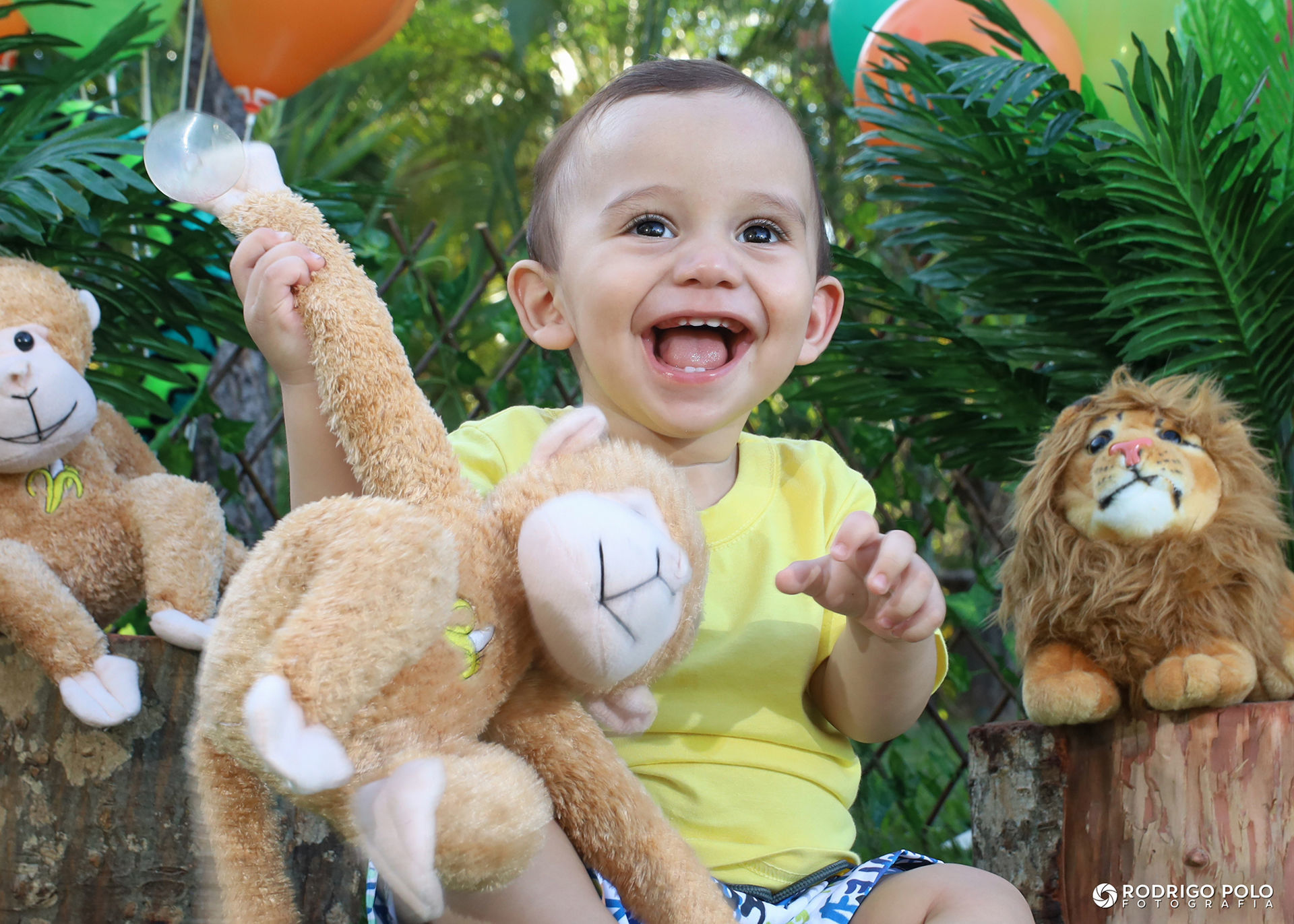 Foto Smash The Cake Caetano - Imagem 4