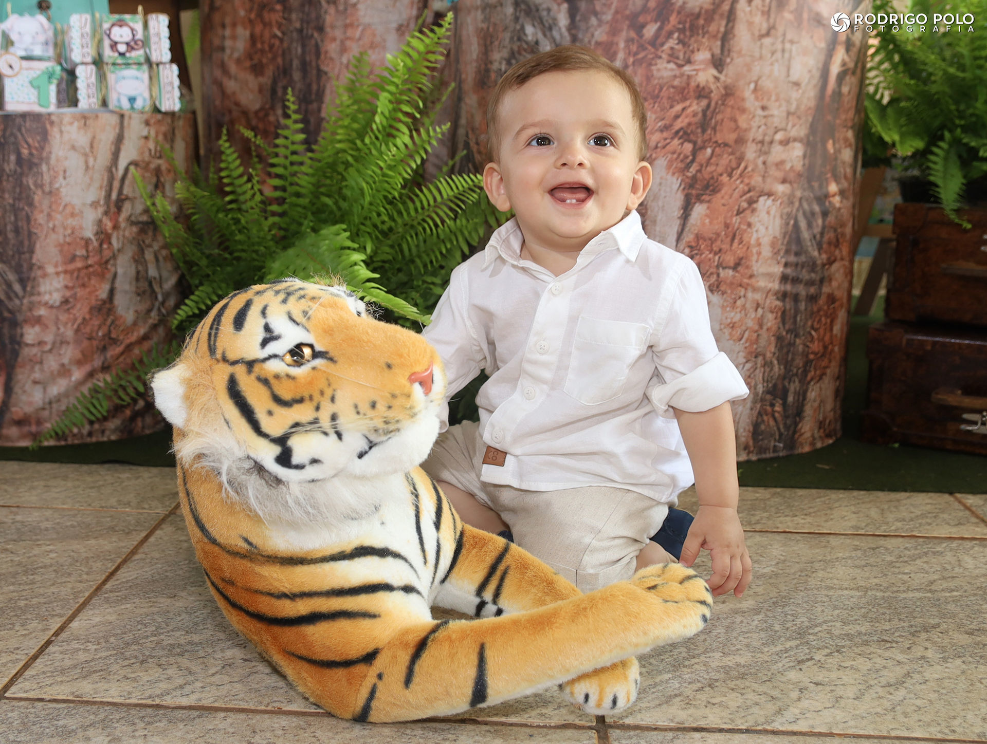 Foto Aniversário João Miguel - 1 Aninho - Imagem 0