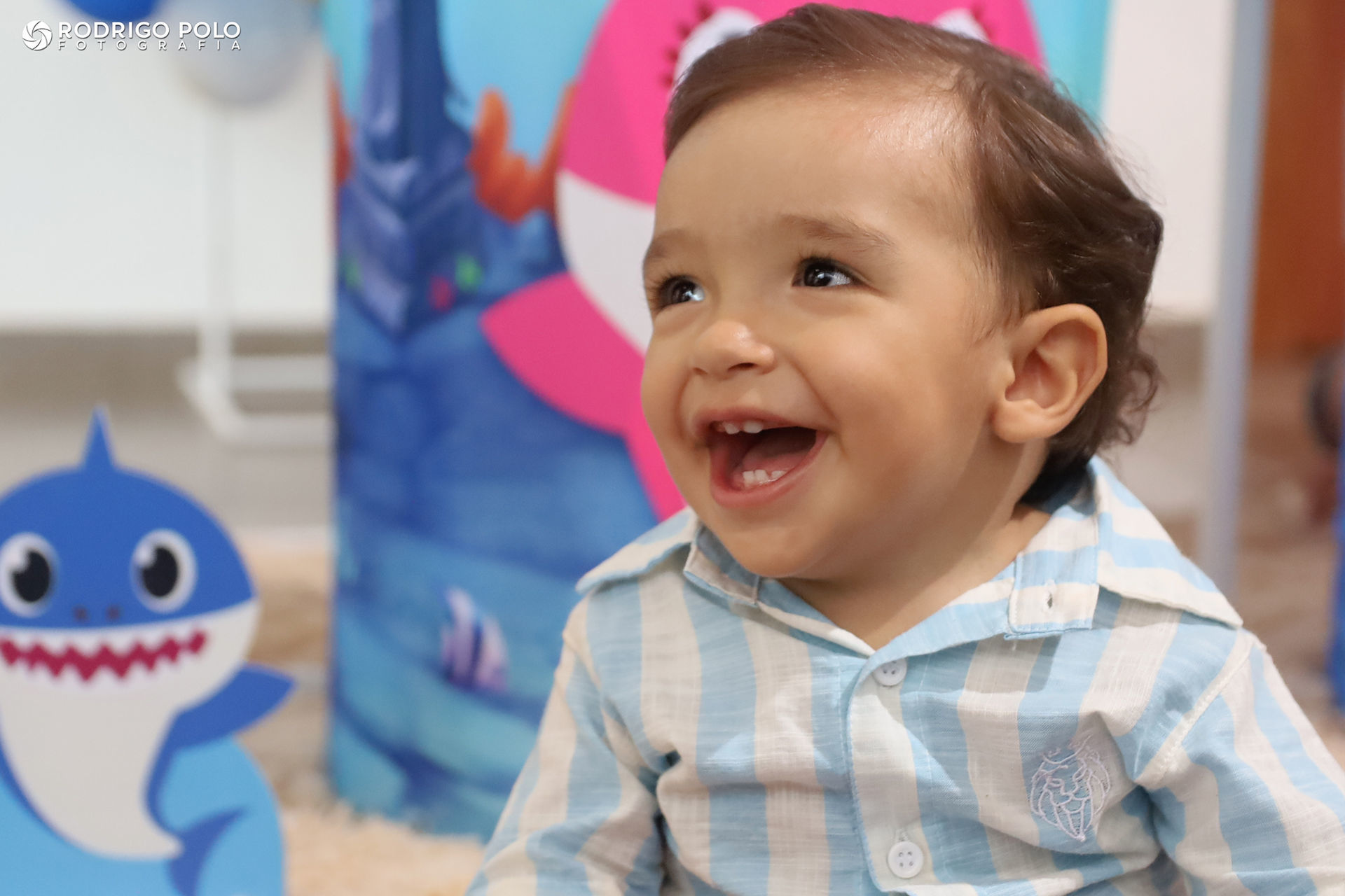 Foto Aniversário Martin - 1 Aninho - Imagem 0