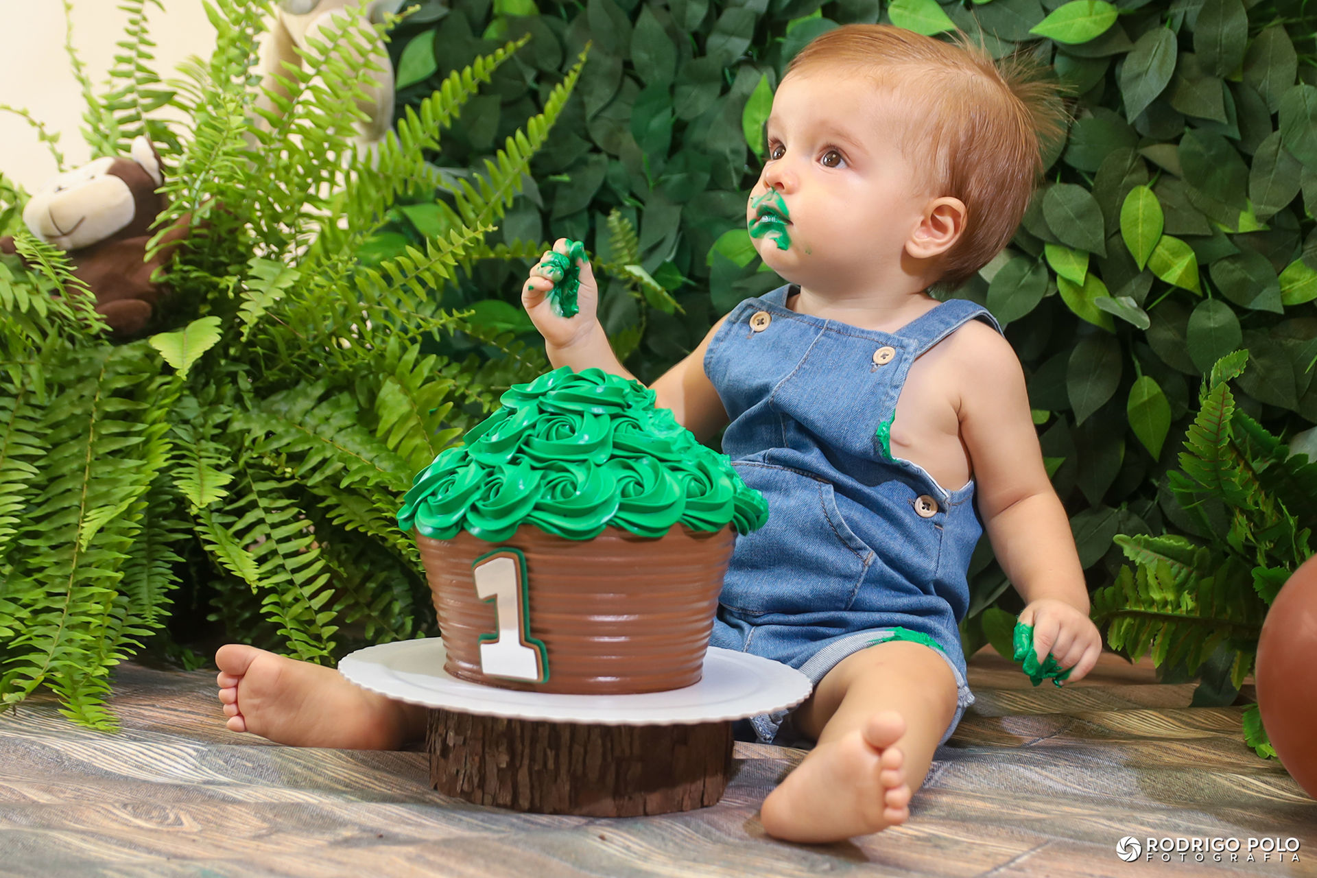 Foto Smash The Cake Arthur Foto Smash The Cake Arthur - Imagem 12