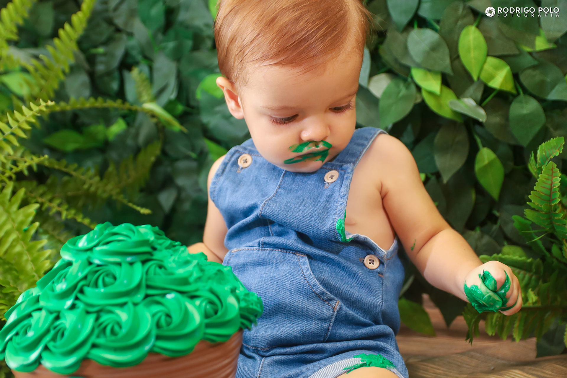Foto Smash The Cake Arthur Foto Smash The Cake Arthur - Imagem 13