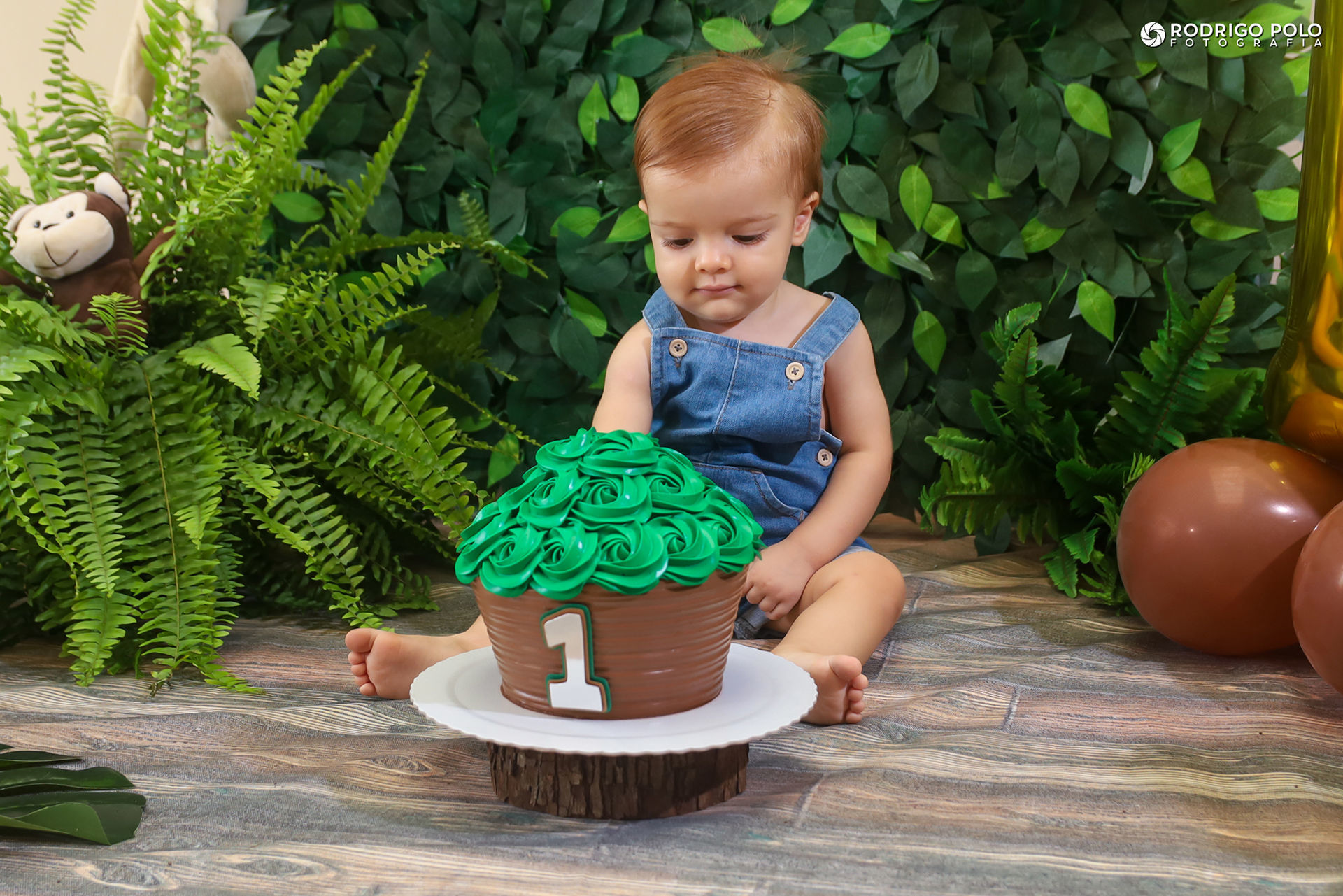 Foto Smash The Cake Arthur Foto Smash The Cake Arthur - Imagem 8