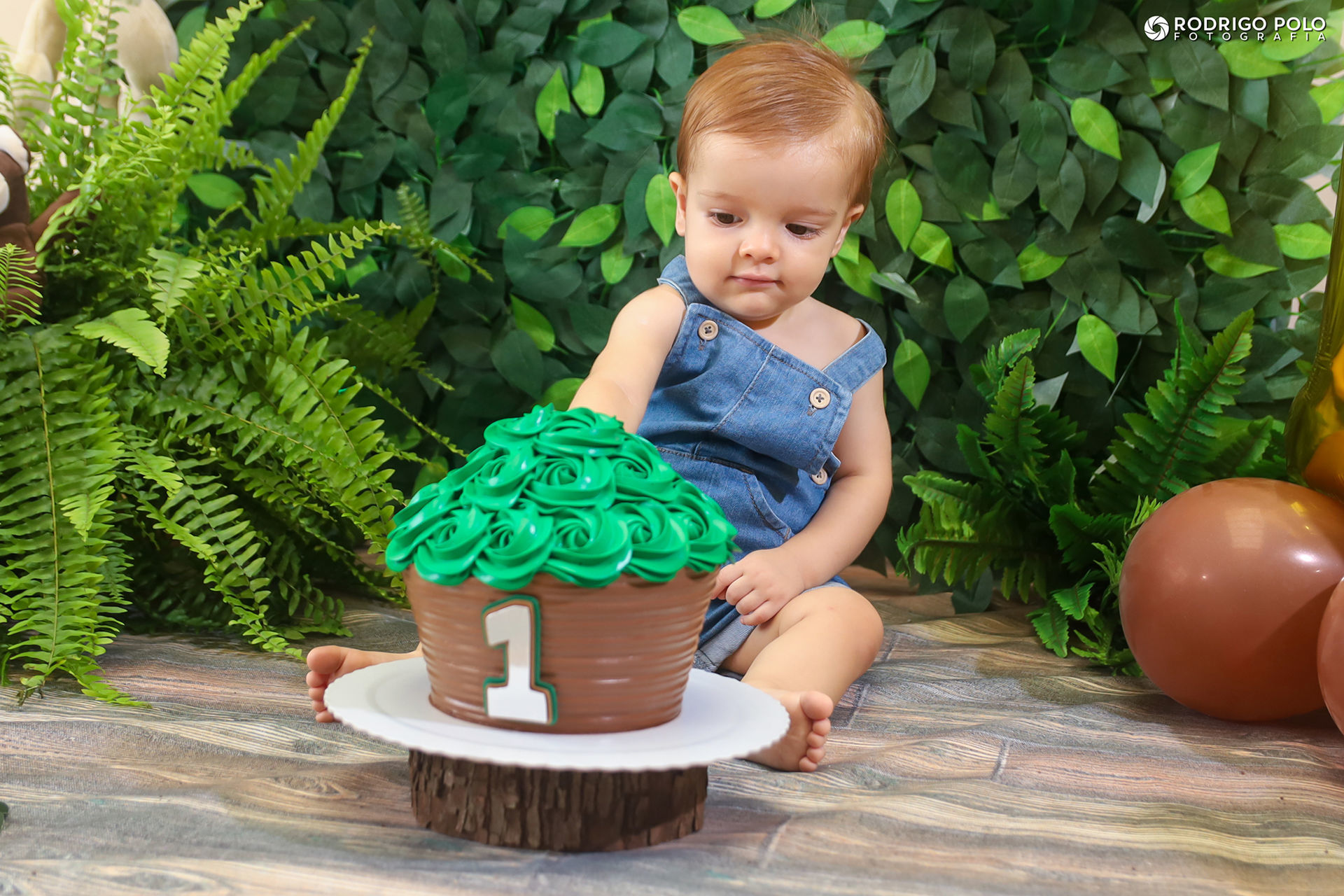 Foto Smash The Cake Arthur Foto Smash The Cake Arthur - Imagem 9