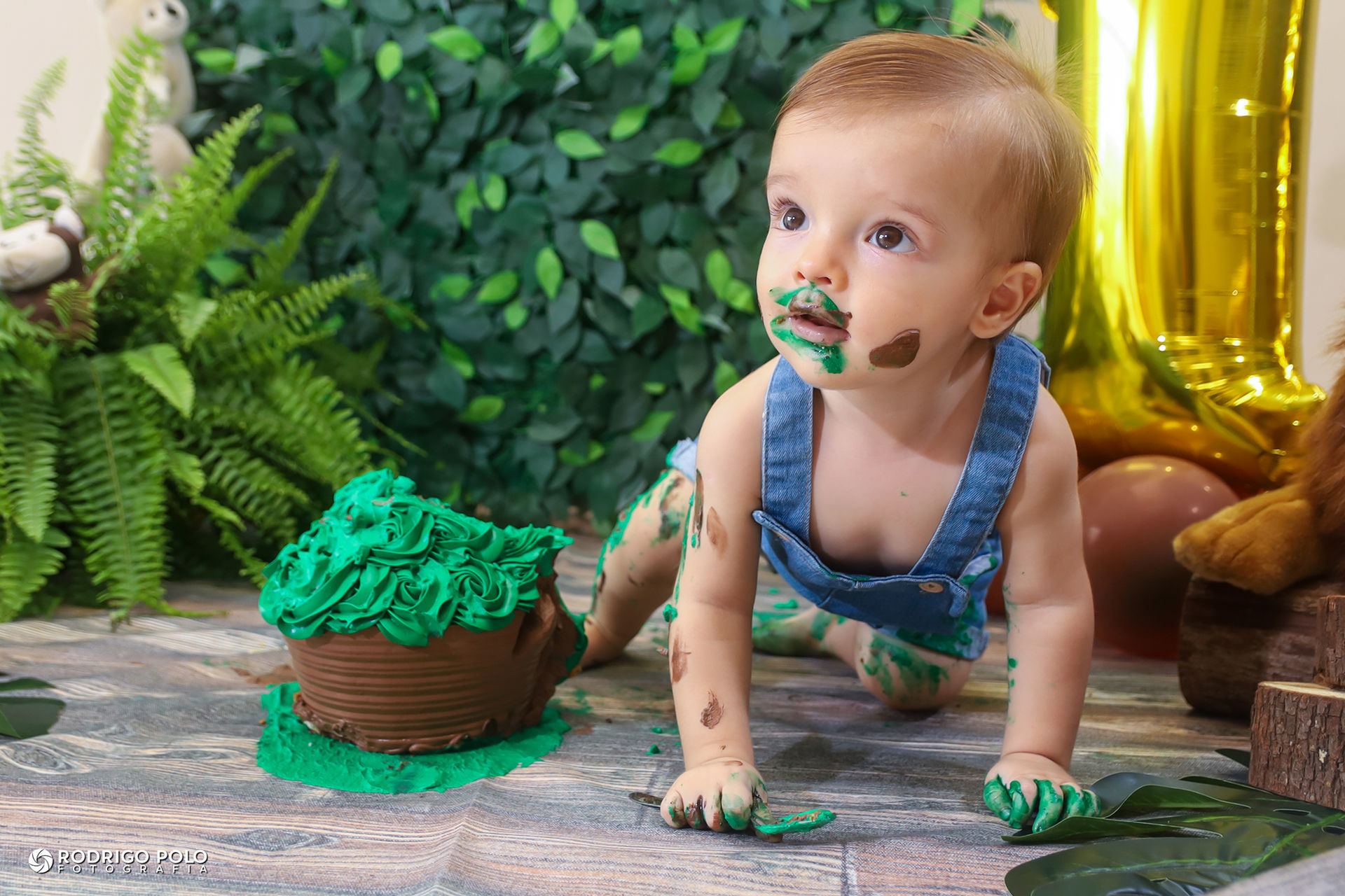 Foto Smash The Cake Arthur Foto Smash The Cake Arthur - Imagem 20