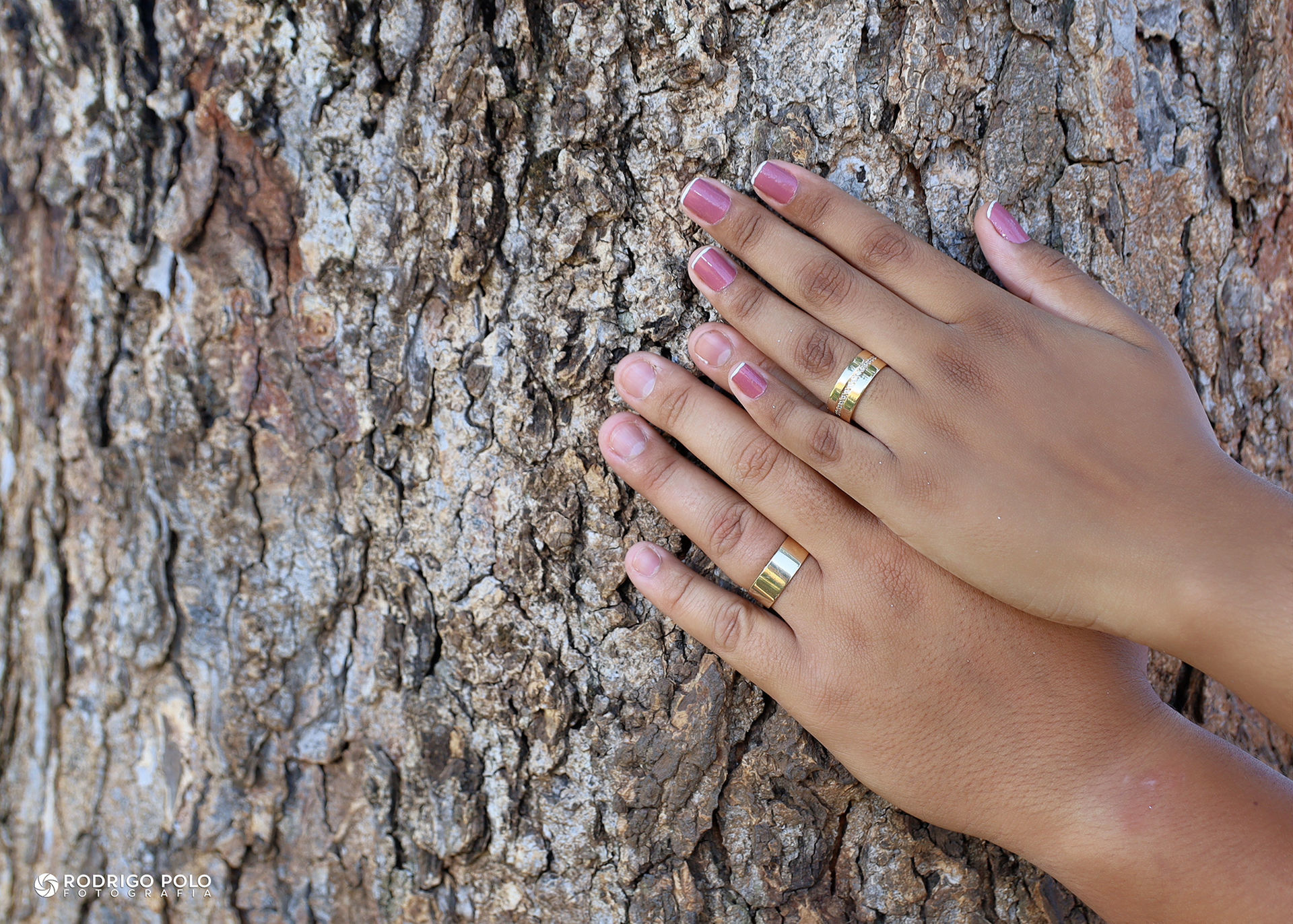 Foto Casamento Luana e Renner - Imagem 3