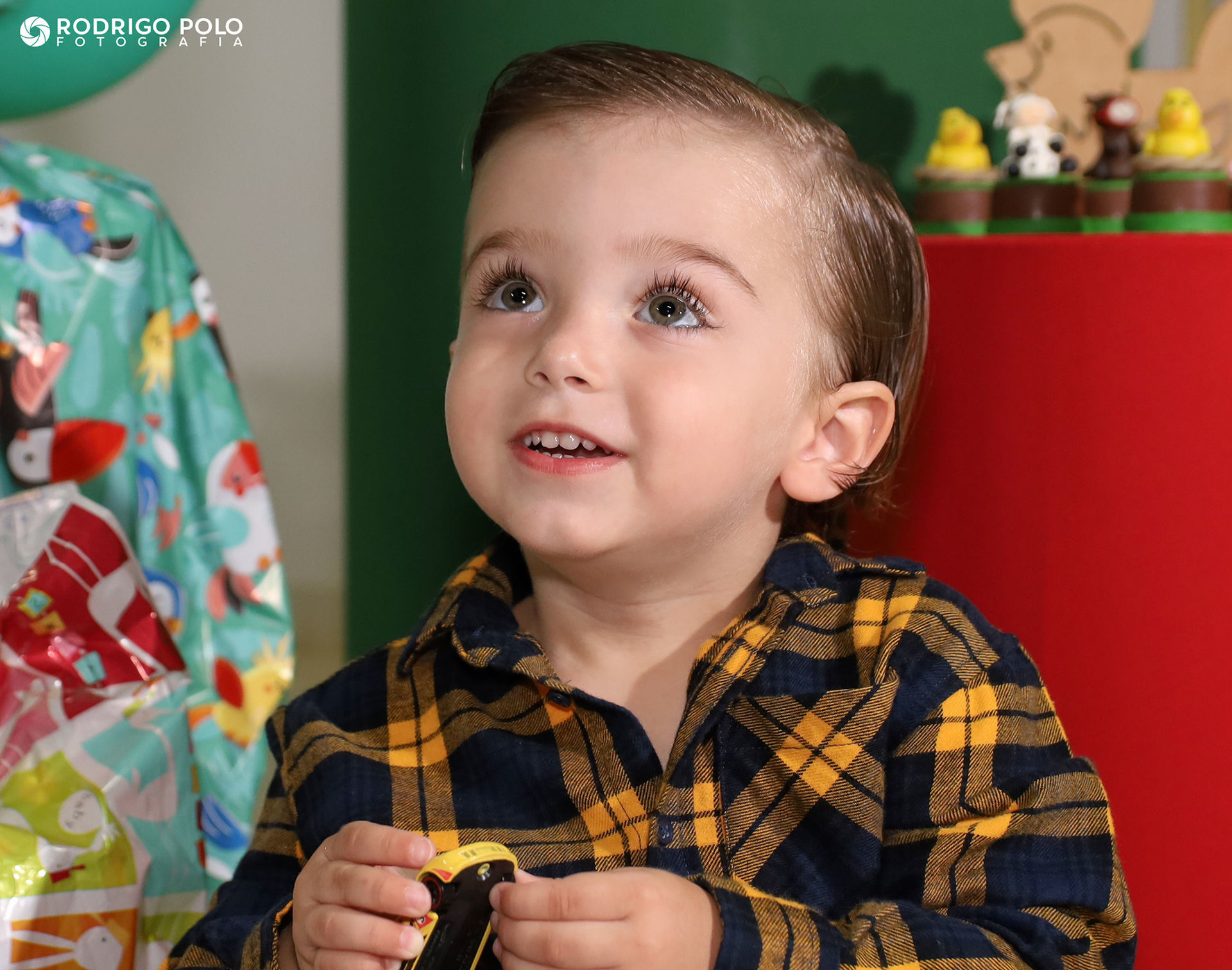 Foto Aniversário Miguel - 2 Anos - Imagem 0