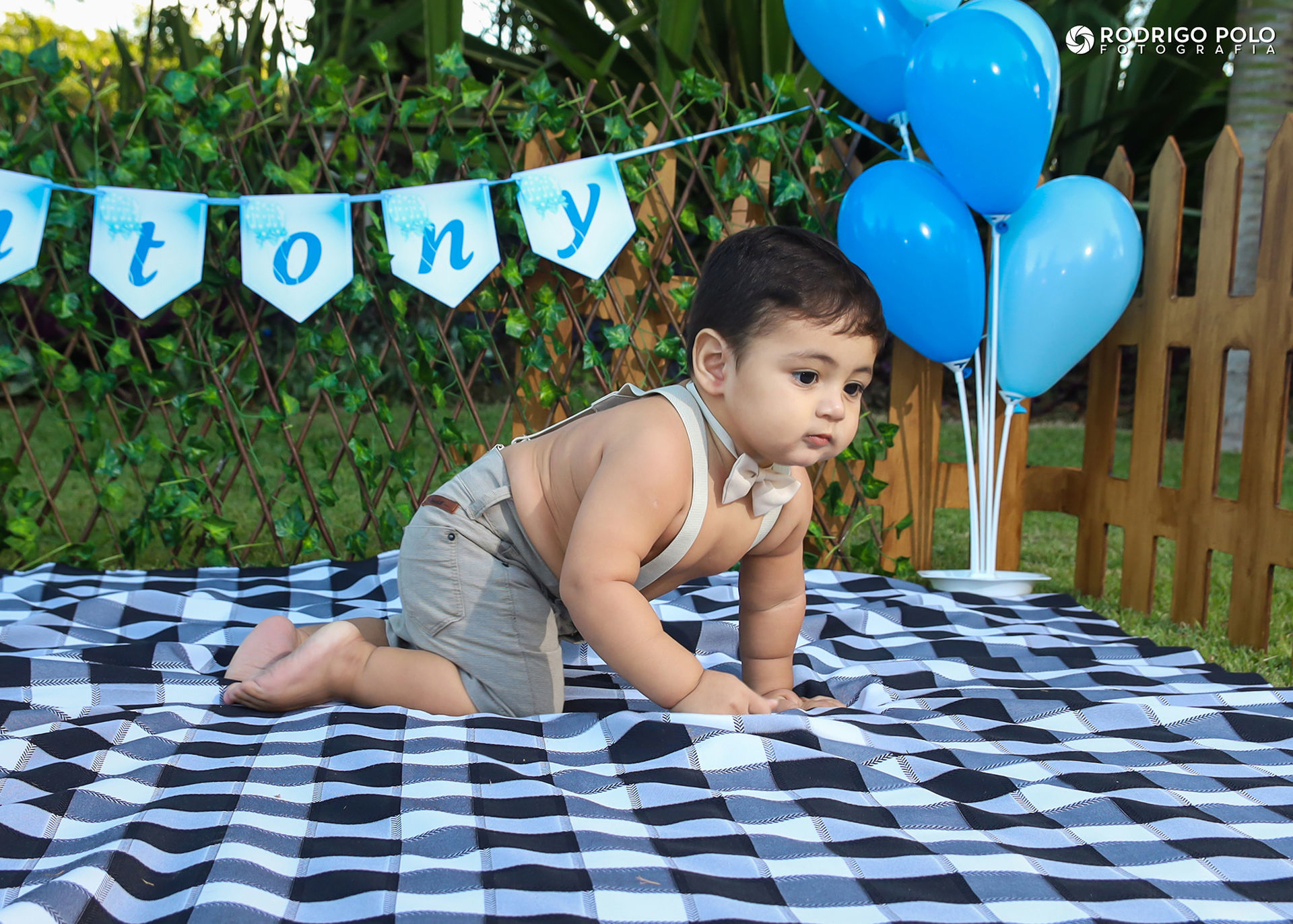 Foto Smash The Cake Antony Foto Smash The Cake Antony - Imagem 13