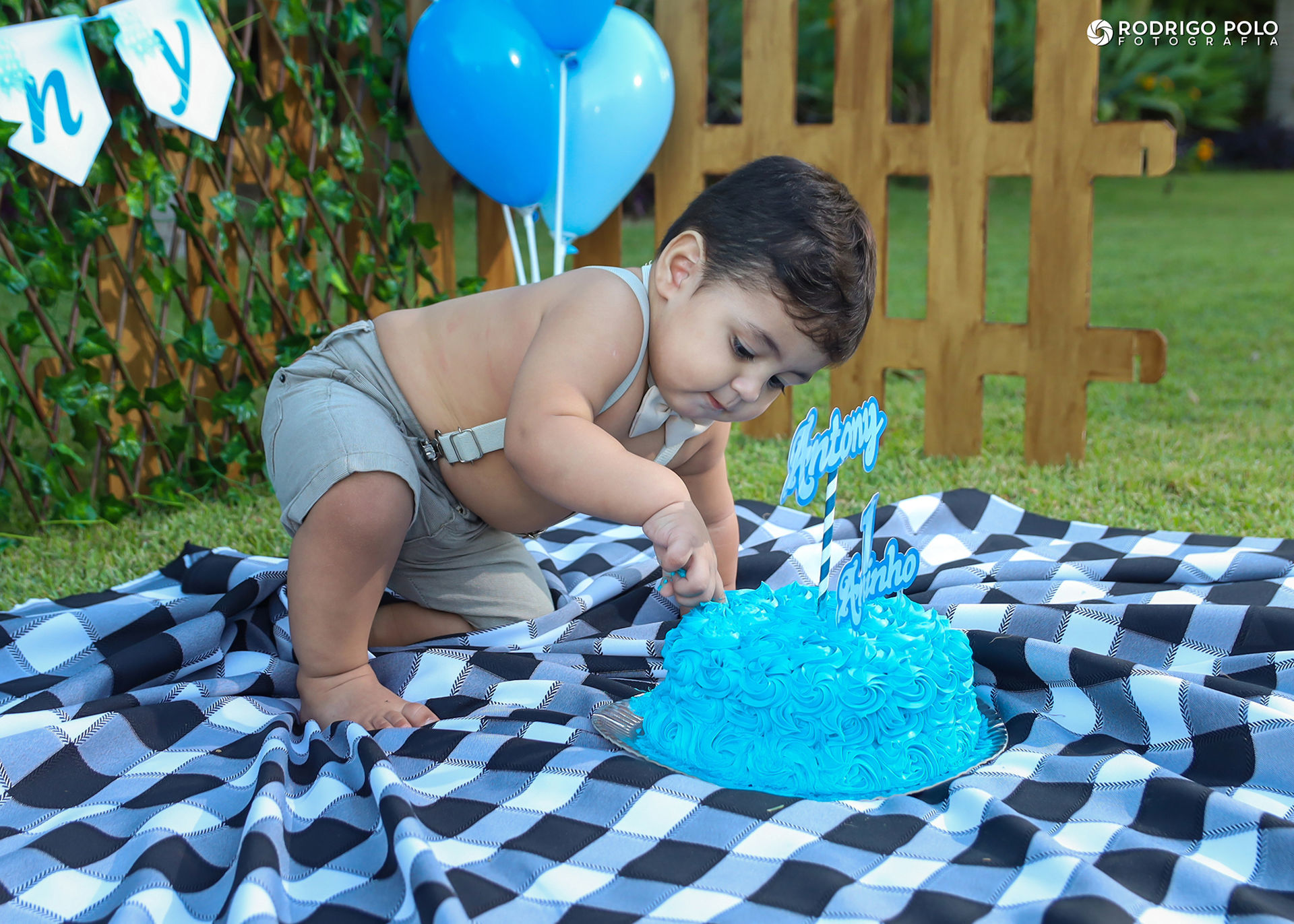 Foto Smash The Cake Antony Foto Smash The Cake Antony - Imagem 17