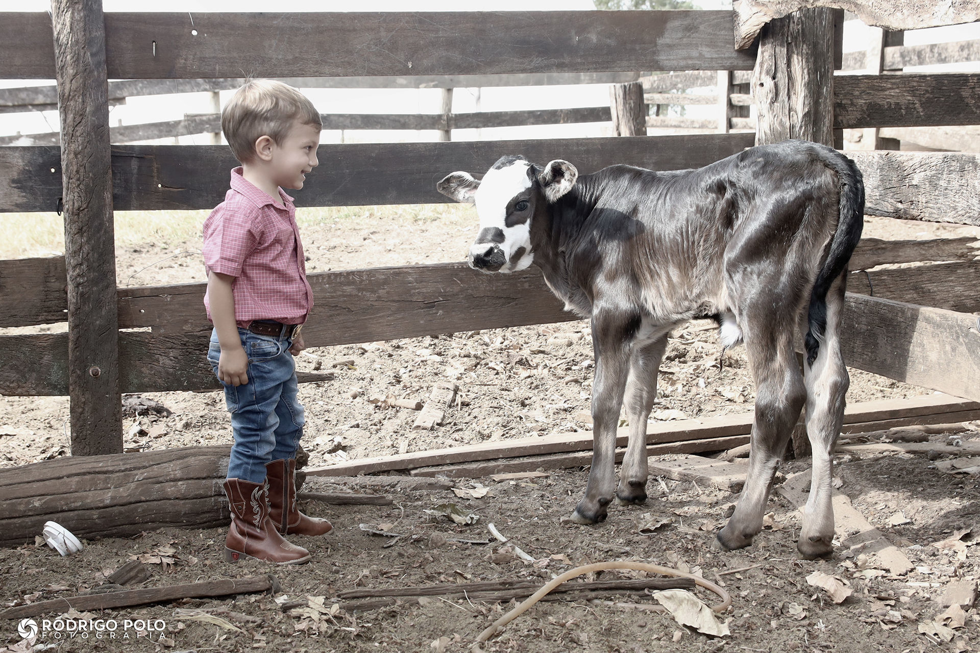 Foto Aniversário Pedro - 2 Anos - Imagem 6