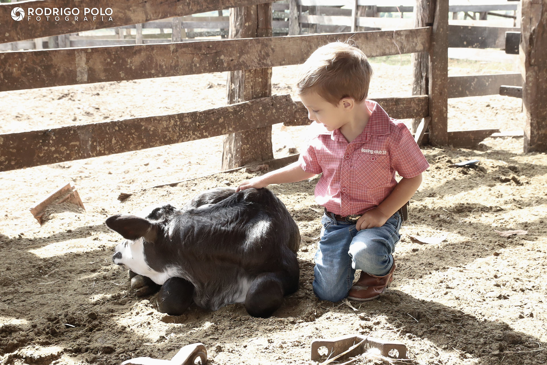 Foto Aniversário Pedro - 2 Anos - Imagem 5