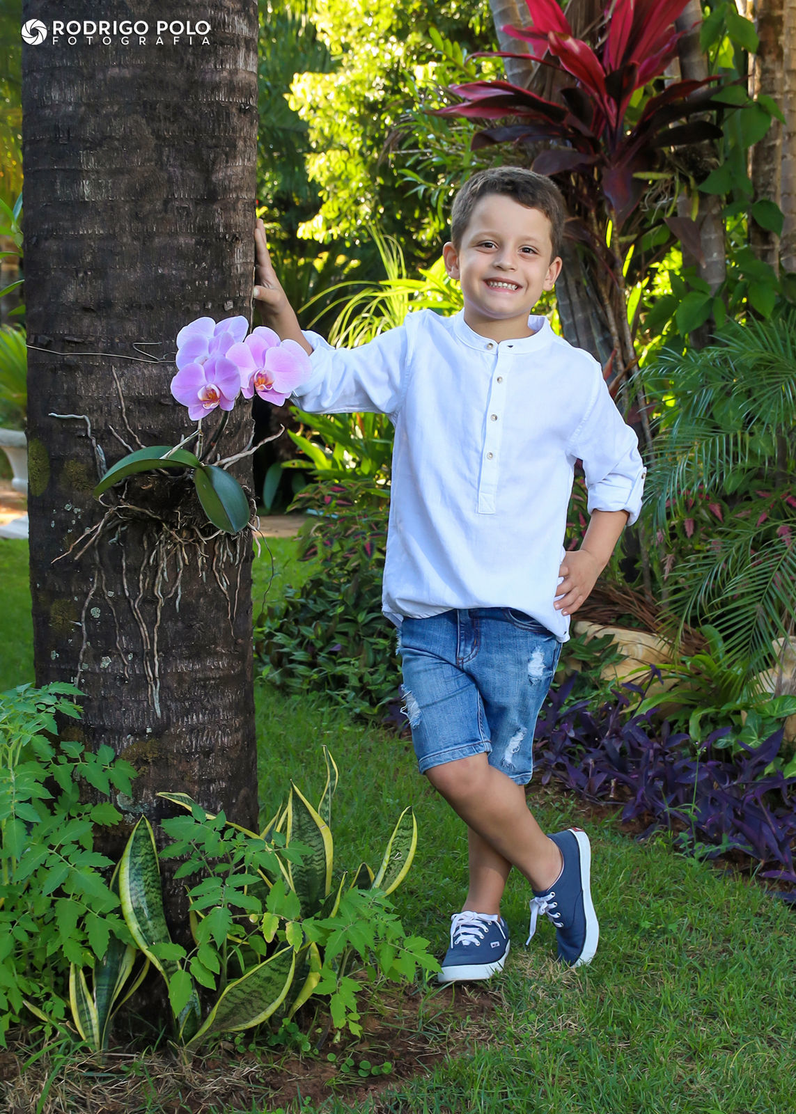 Foto Book Miguel - 5 Anos Foto Book Miguel - 5 Anos - Imagem 5
