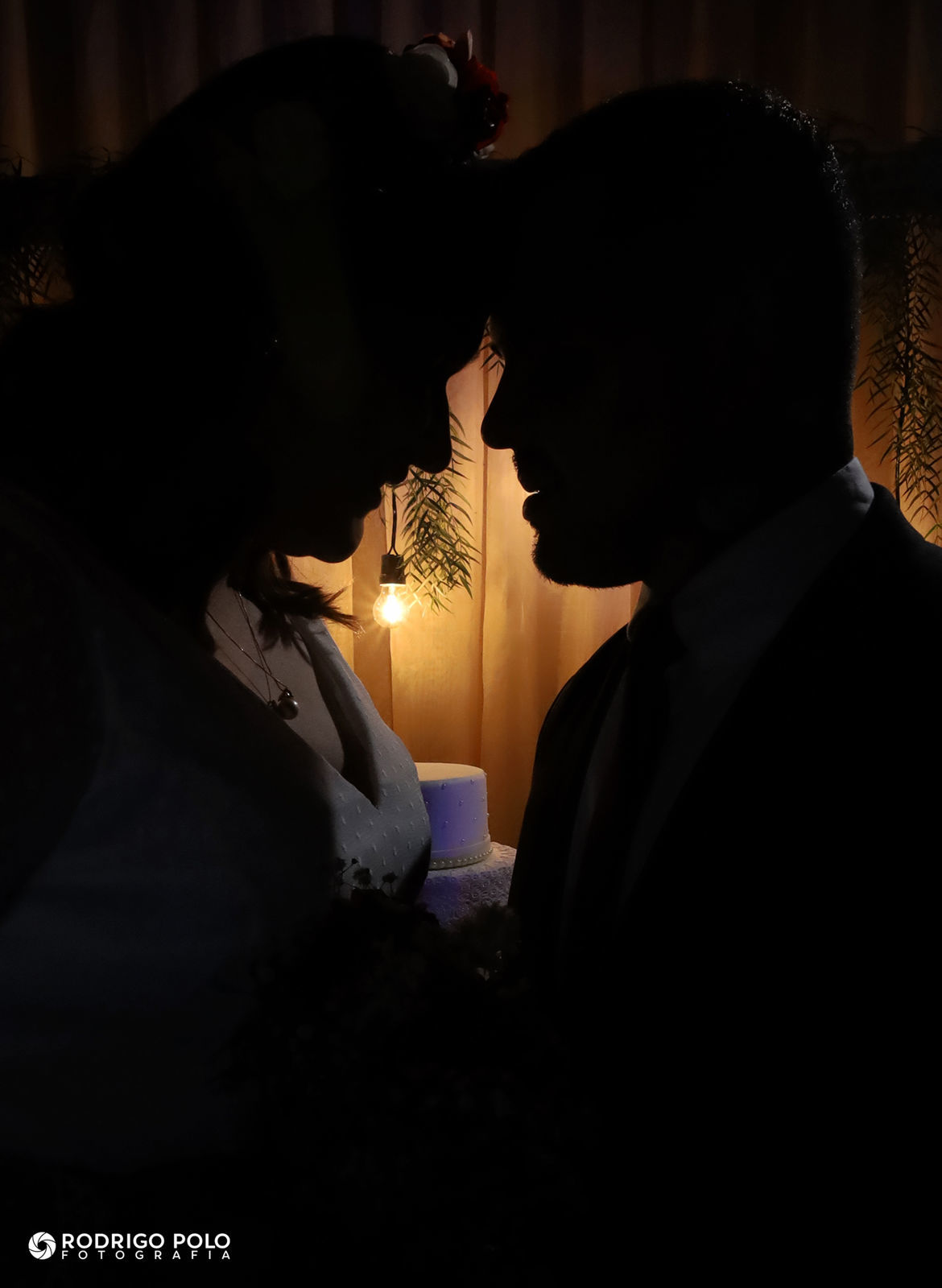 Foto Casamento Paula e Wilian - Imagem 7