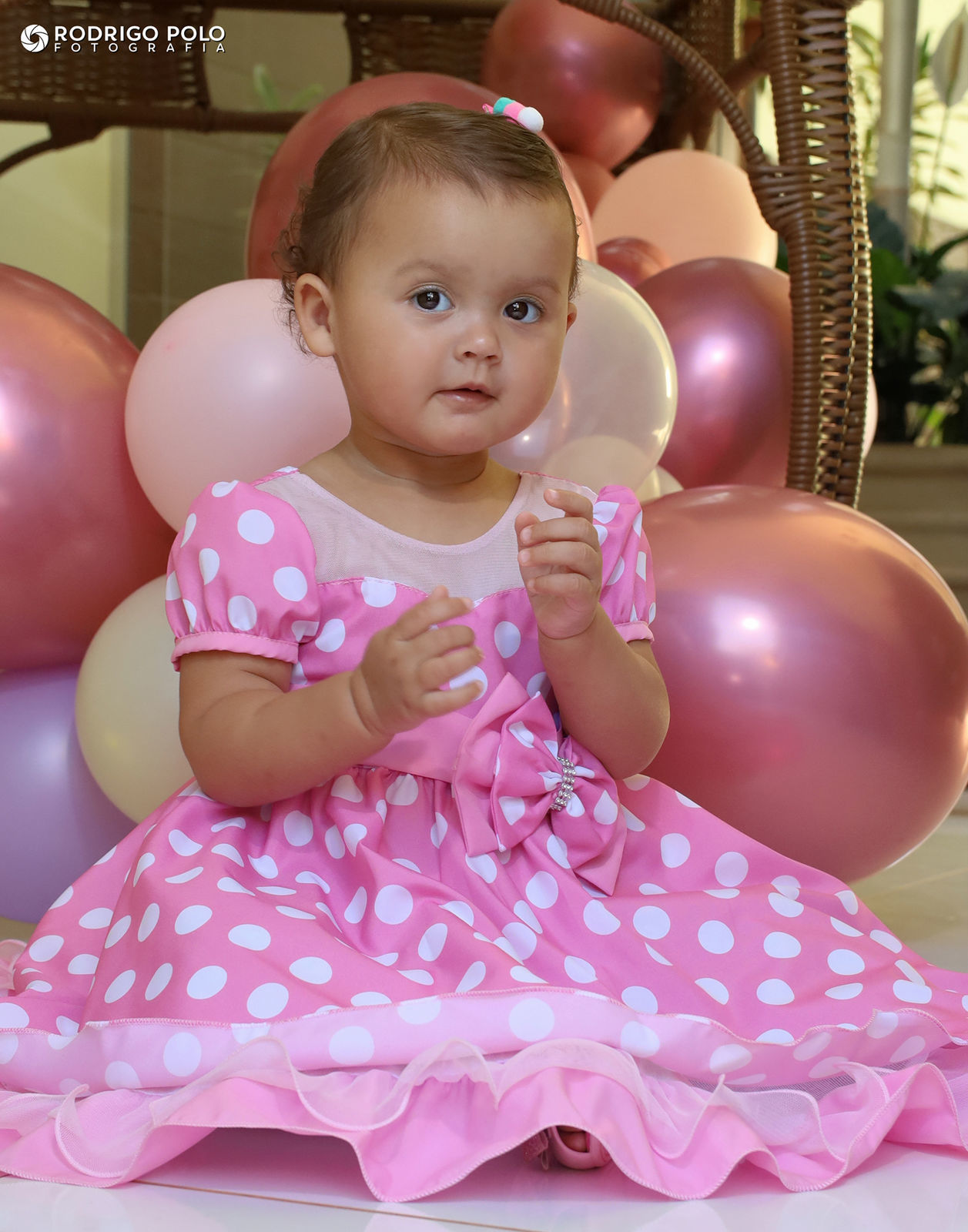 Foto Aniversário Luisa - 1 Aninho - Imagem 0