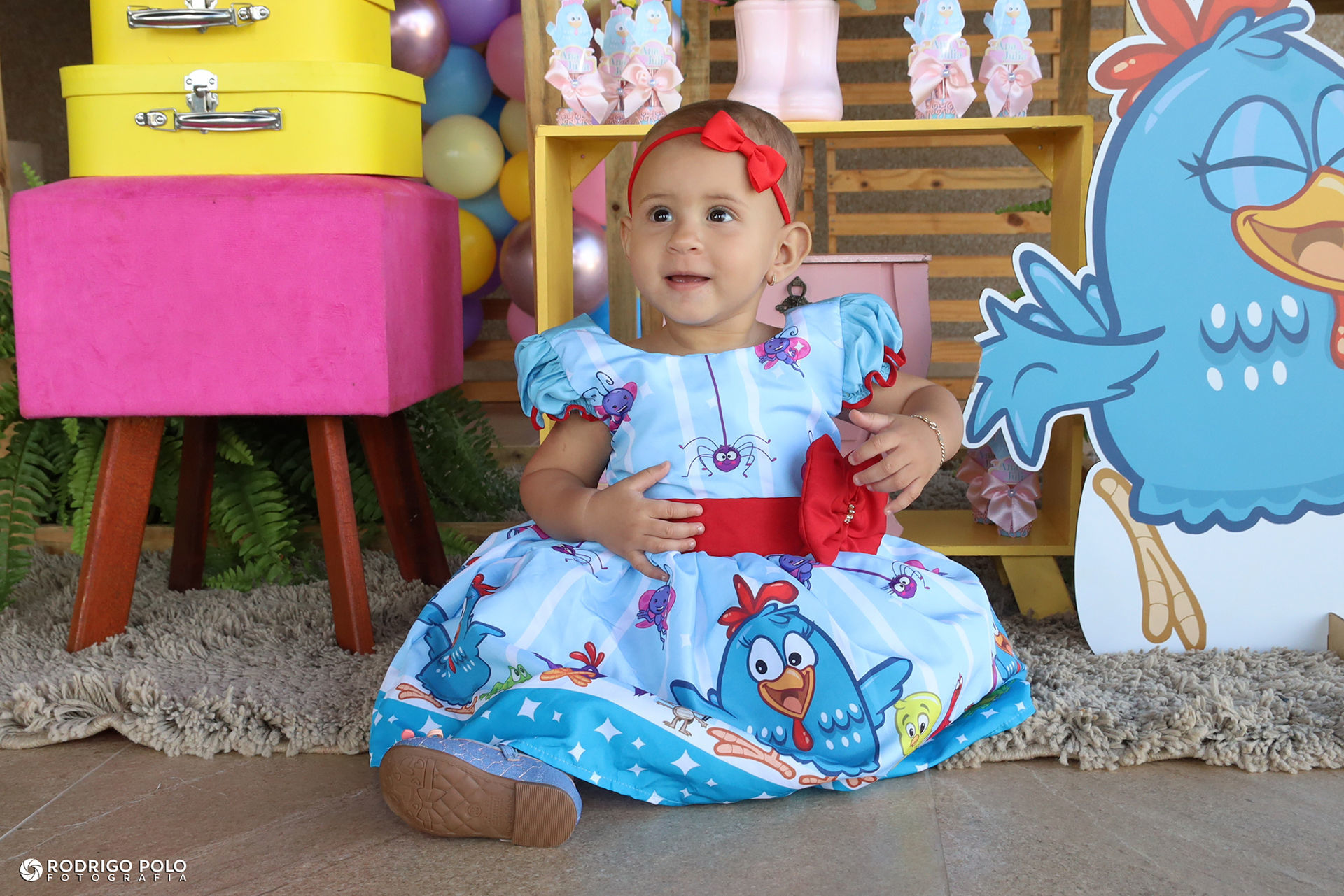 Foto Aniversário Ana Júlia - 1 Aninho - Imagem 0