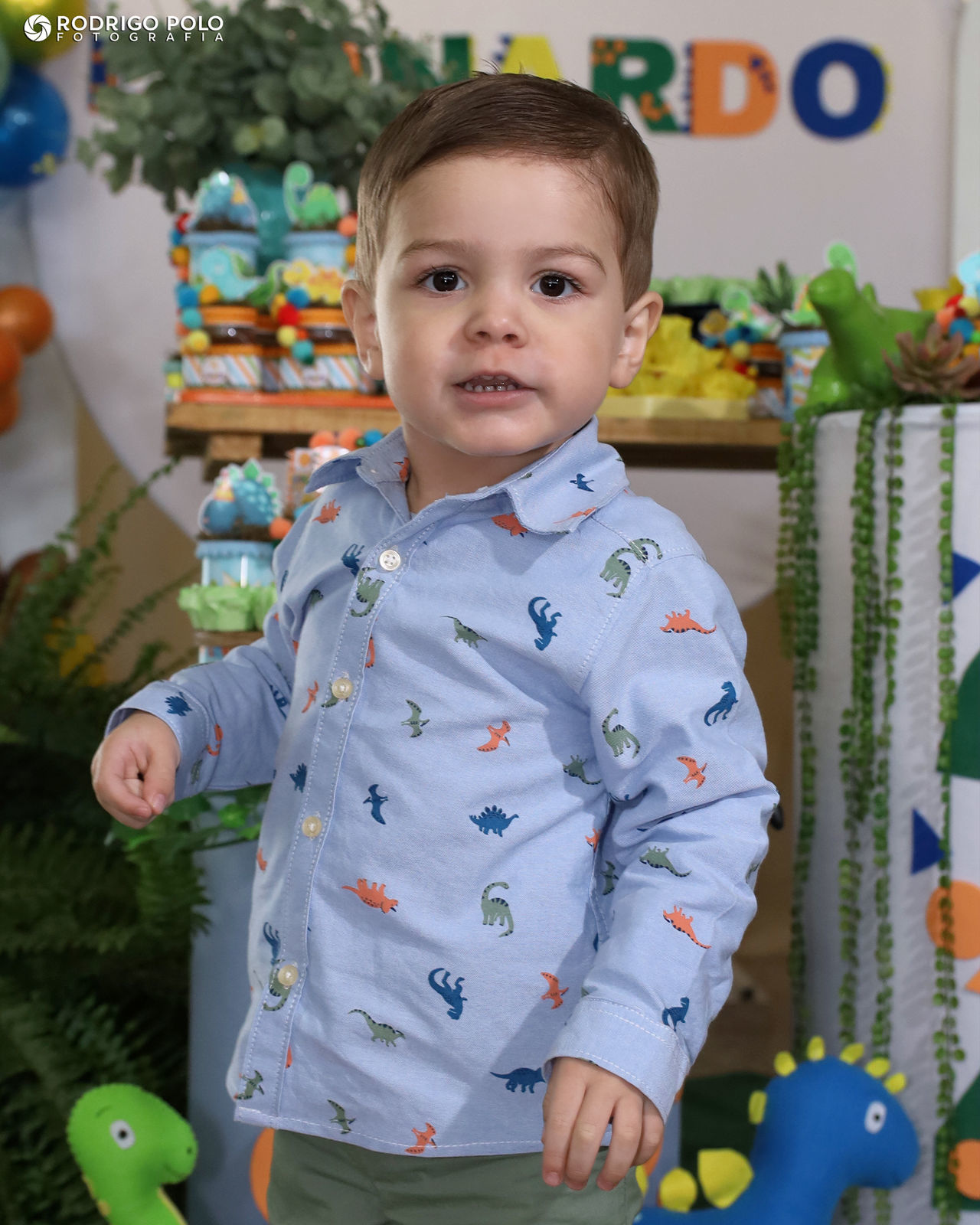 Foto Aniversário Leonardo - 2 Anos - Imagem 0