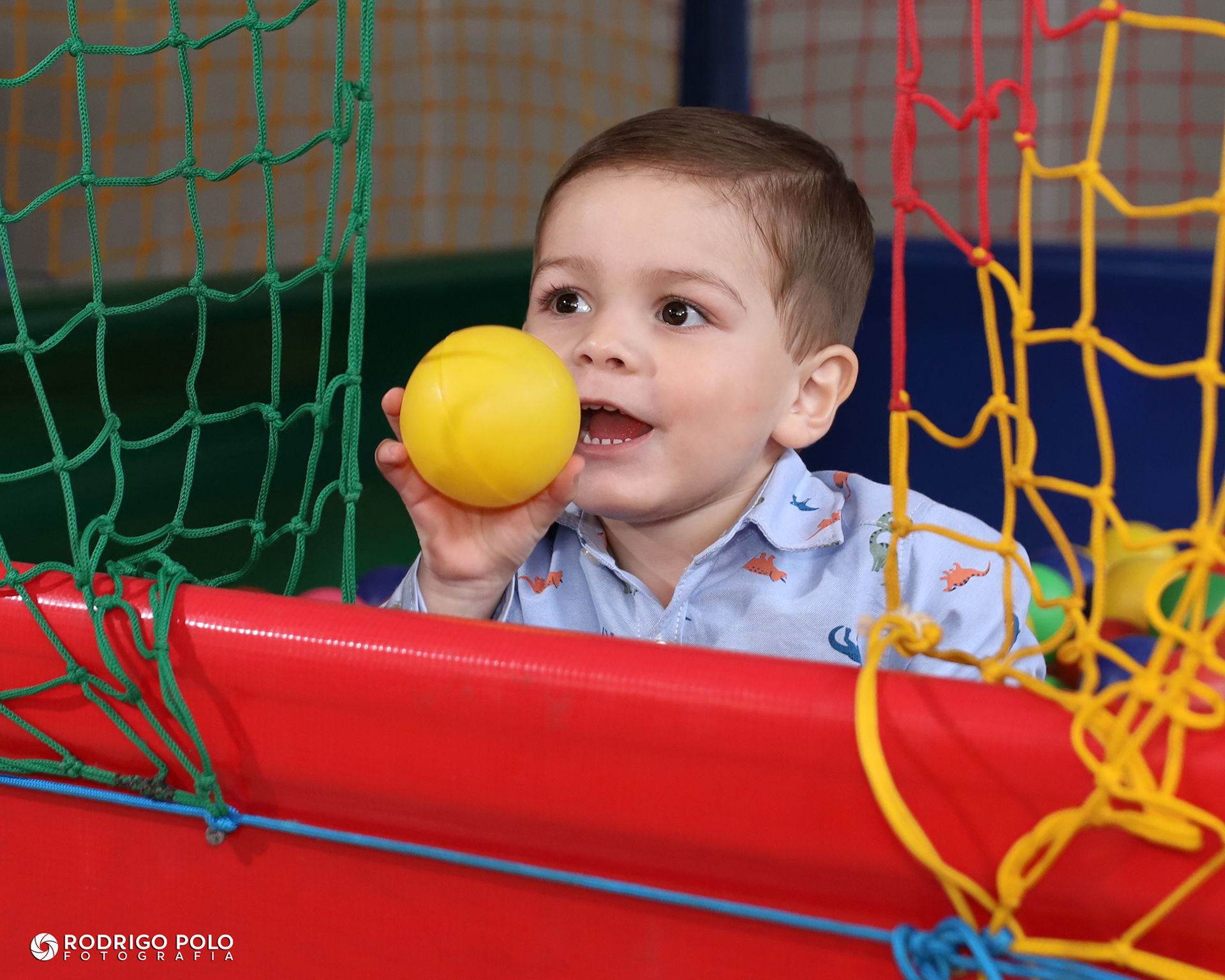 Foto Aniversário Leonardo - 2 Anos - Imagem 5