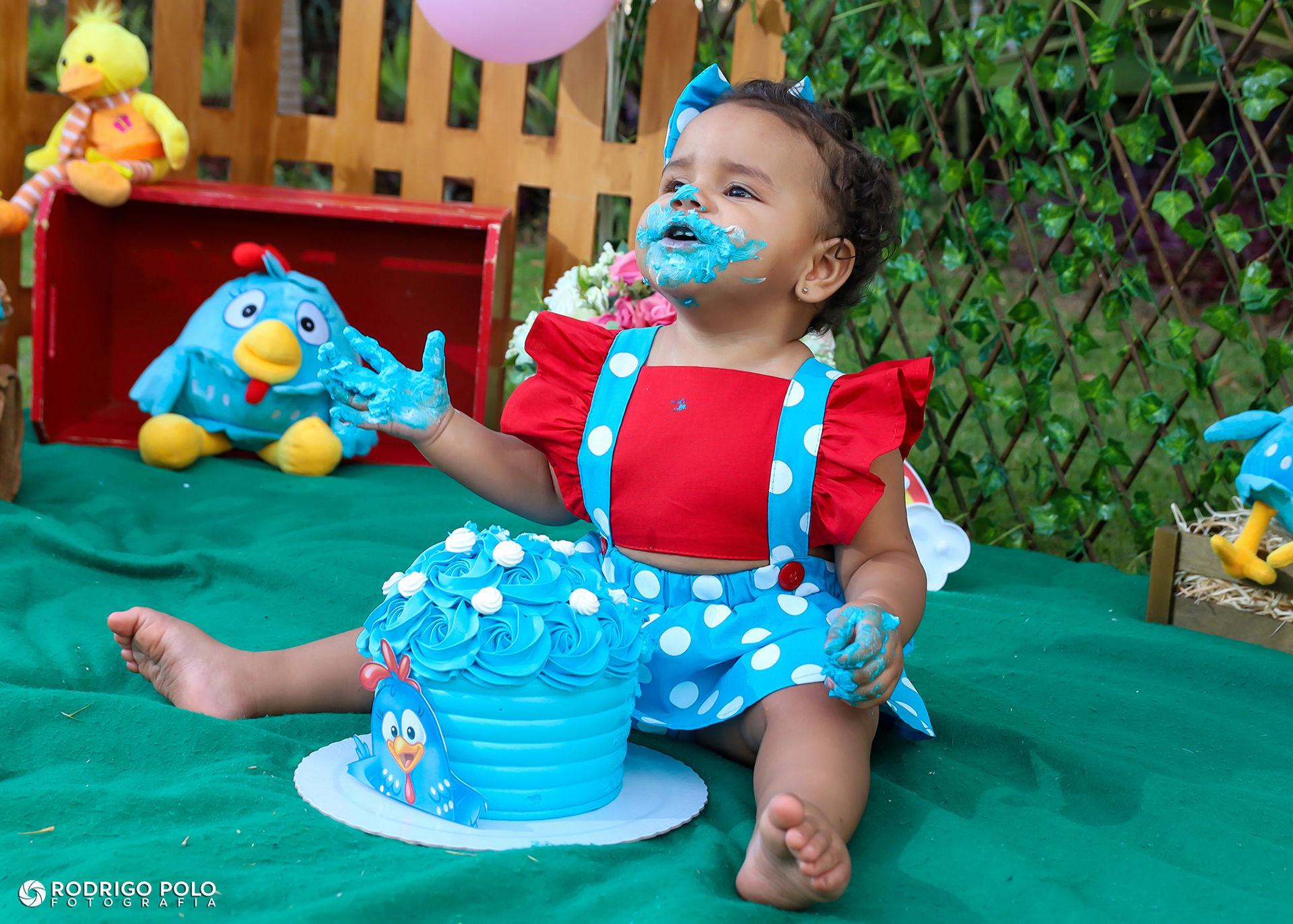 Foto Smash The Cake Betina Foto Smash The Cake Betina - Imagem 39