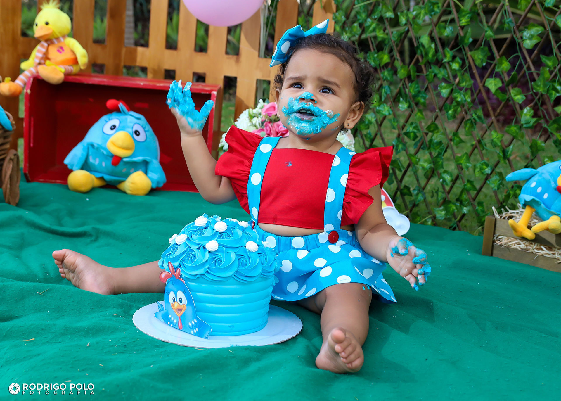 Foto Smash The Cake Betina Foto Smash The Cake Betina - Imagem 40