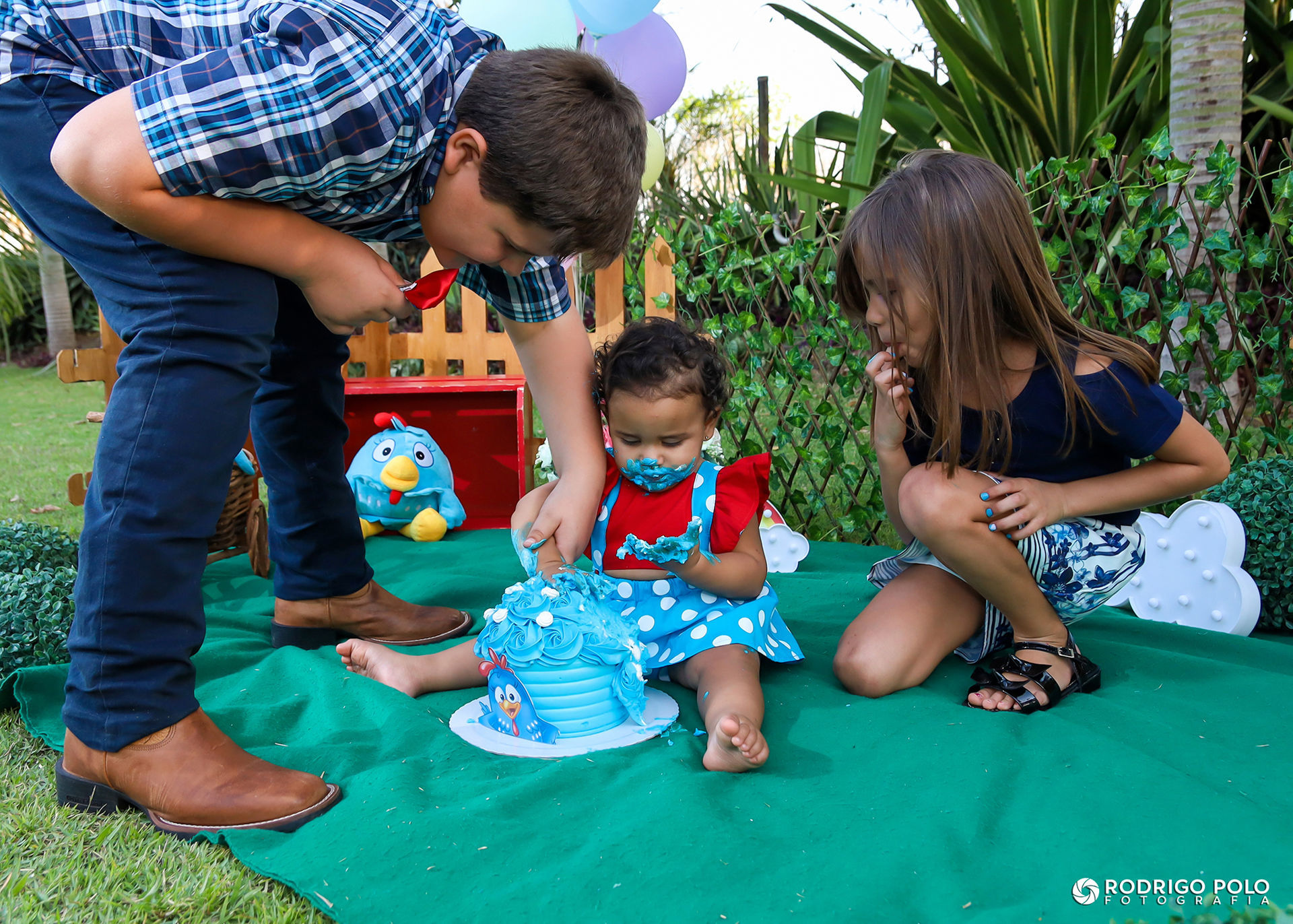 Foto Smash The Cake Betina Foto Smash The Cake Betina - Imagem 41