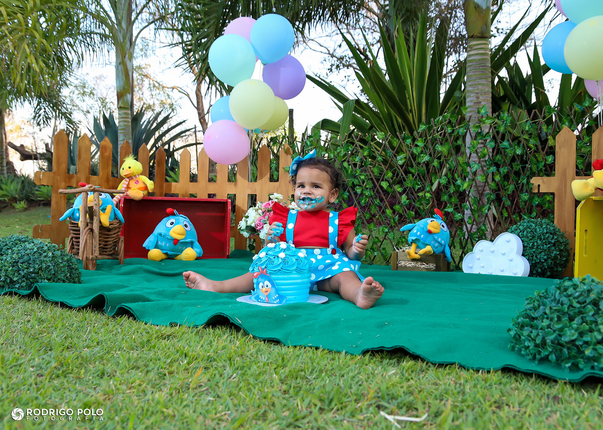 Foto Smash The Cake Betina Foto Smash The Cake Betina - Imagem 36