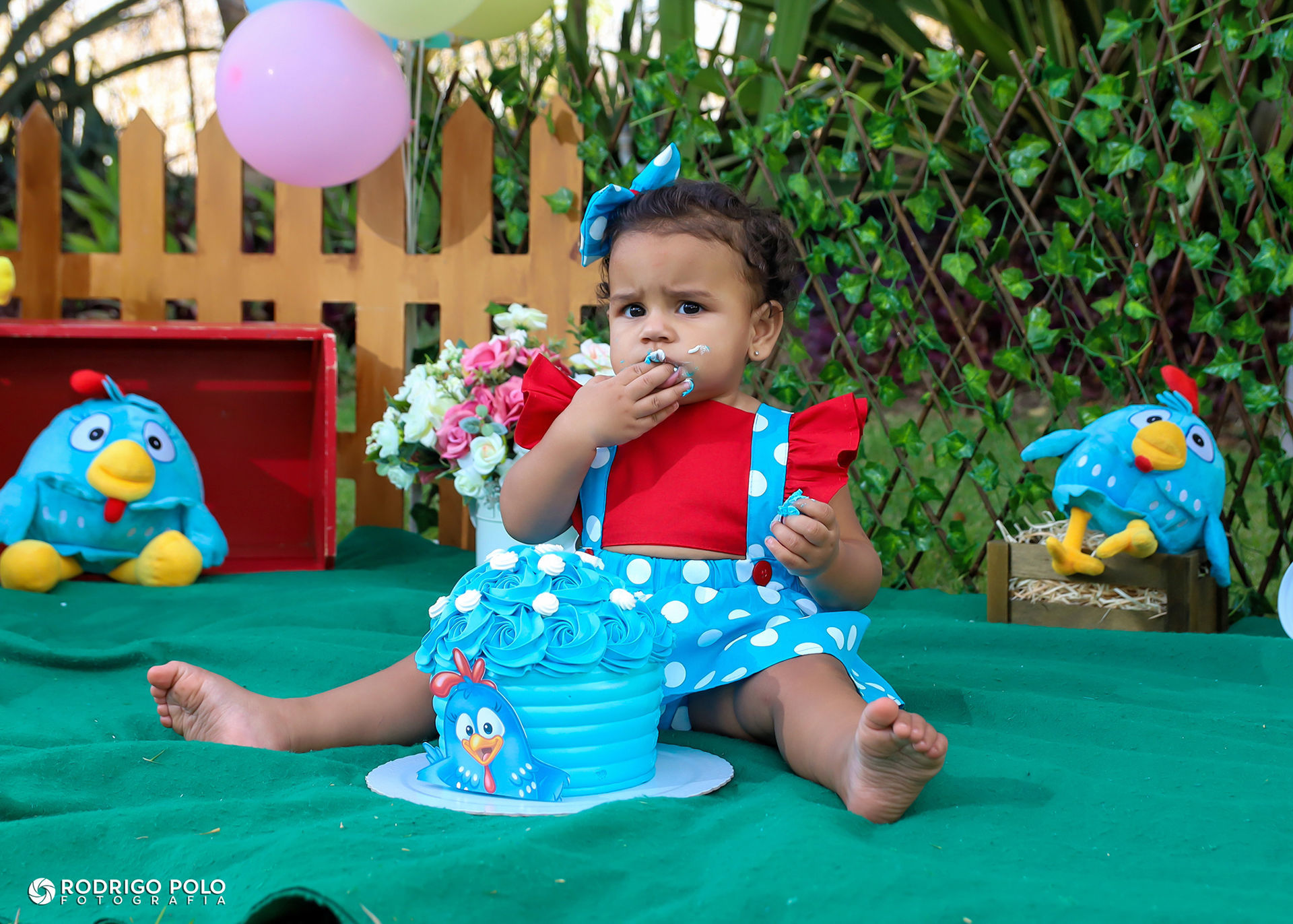 Foto Smash The Cake Betina Foto Smash The Cake Betina - Imagem 35