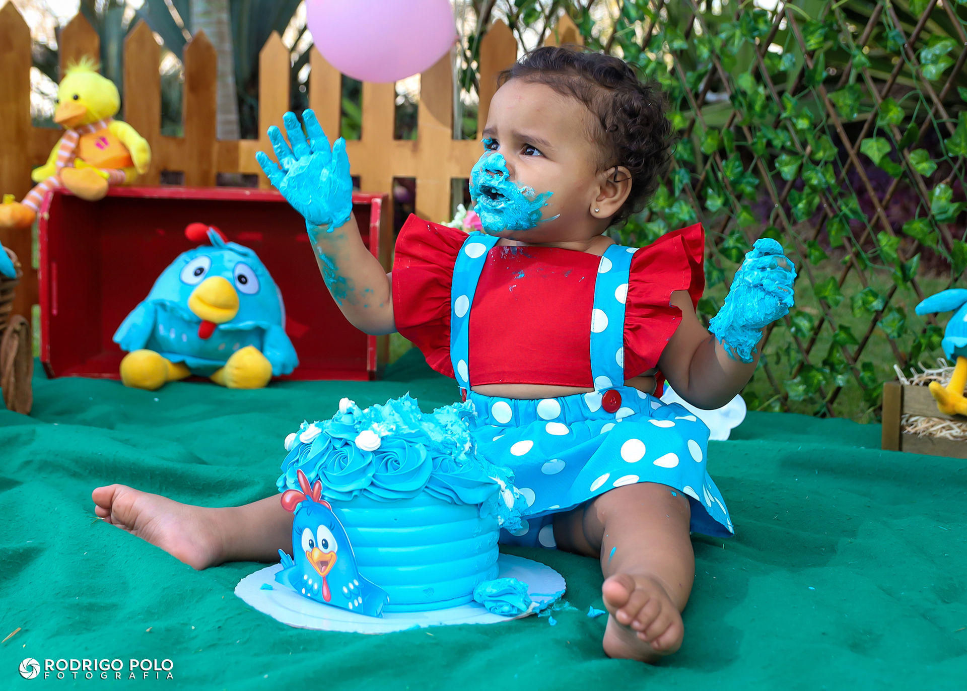 Foto Smash The Cake Betina Foto Smash The Cake Betina - Imagem 42