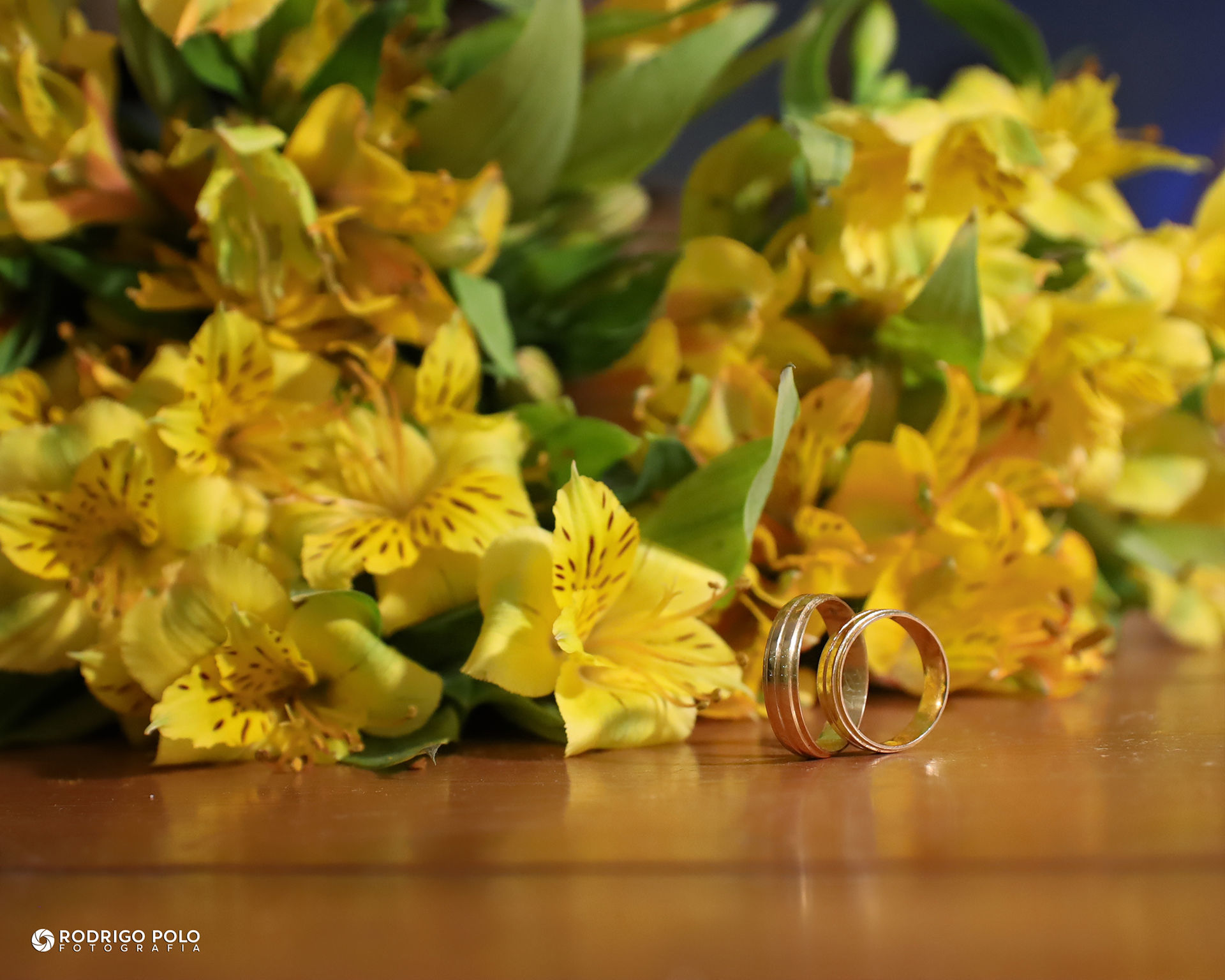 Foto Casamento Natália e Flávio - Imagem 33