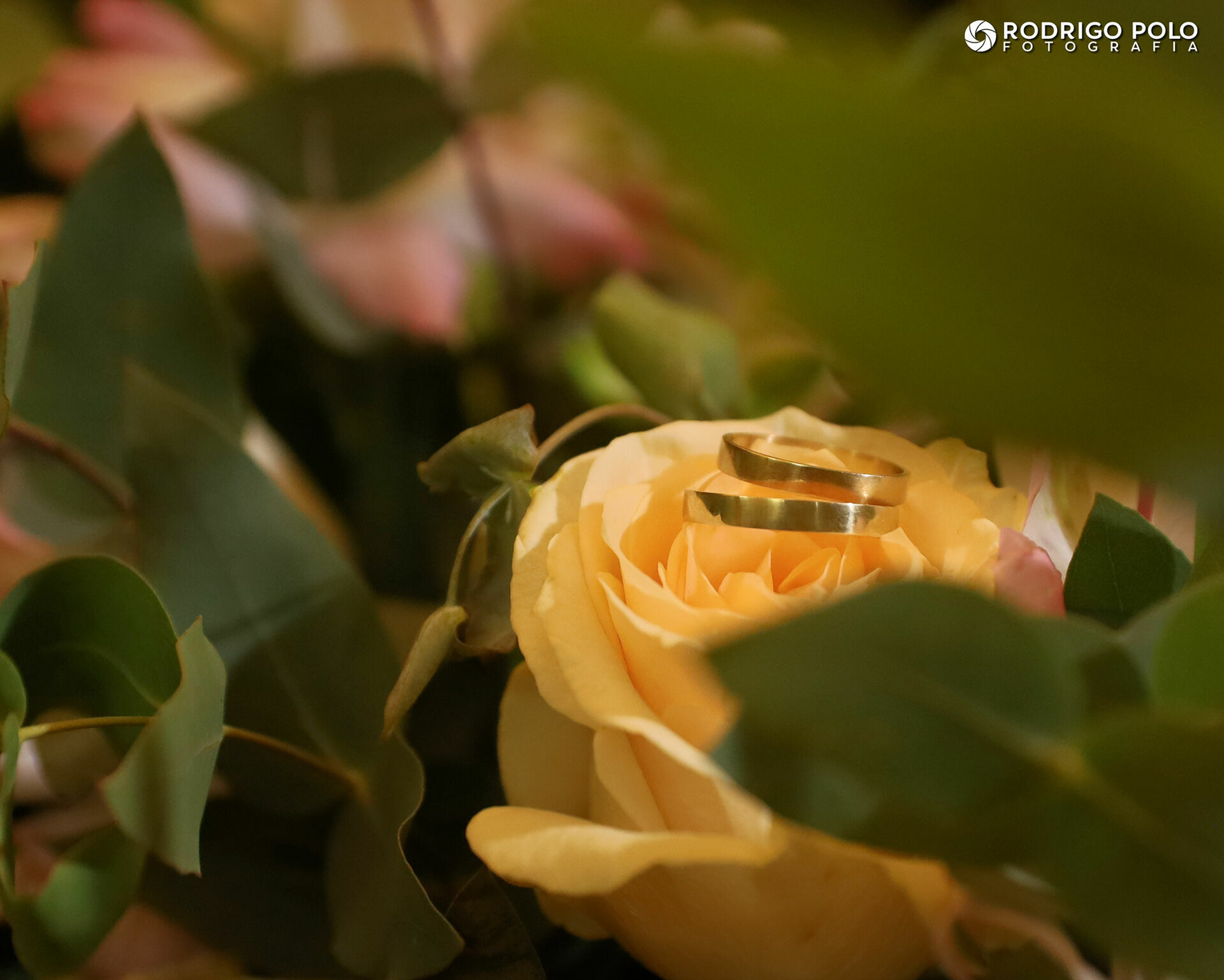 Foto Casamento Luana e Weverton - Igreja e Festa - Imagem 47