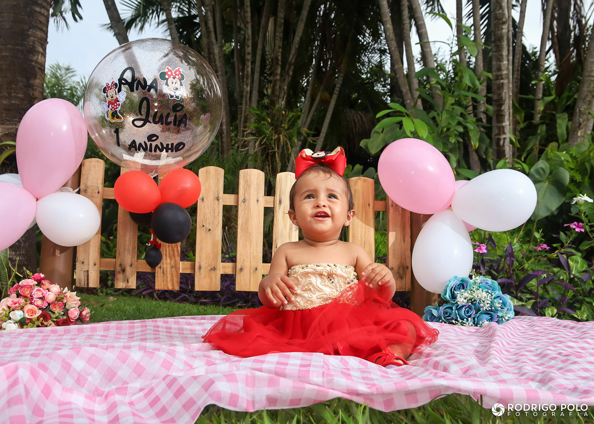 Foto Smash The Cake Ana Júlia Foto Smash The Cake Ana Júlia - Imagem 1