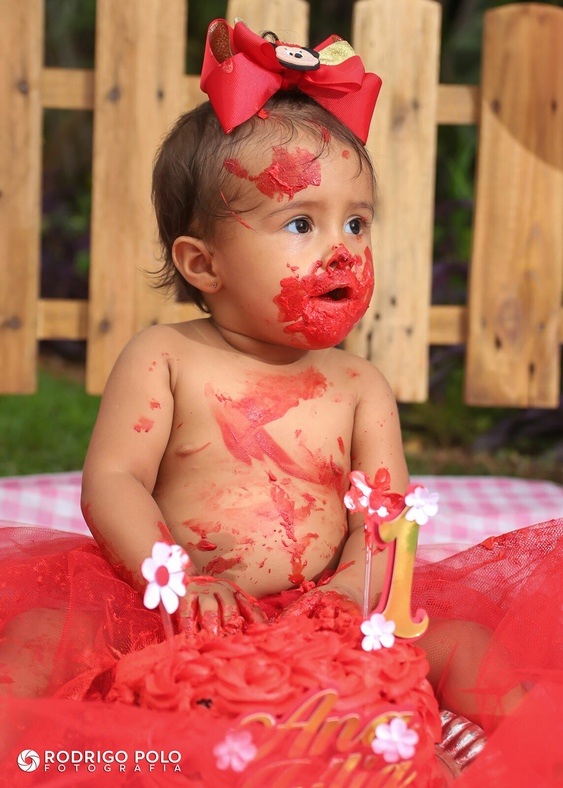 Foto Smash The Cake Ana Júlia Foto Smash The Cake Ana Júlia - Imagem 35
