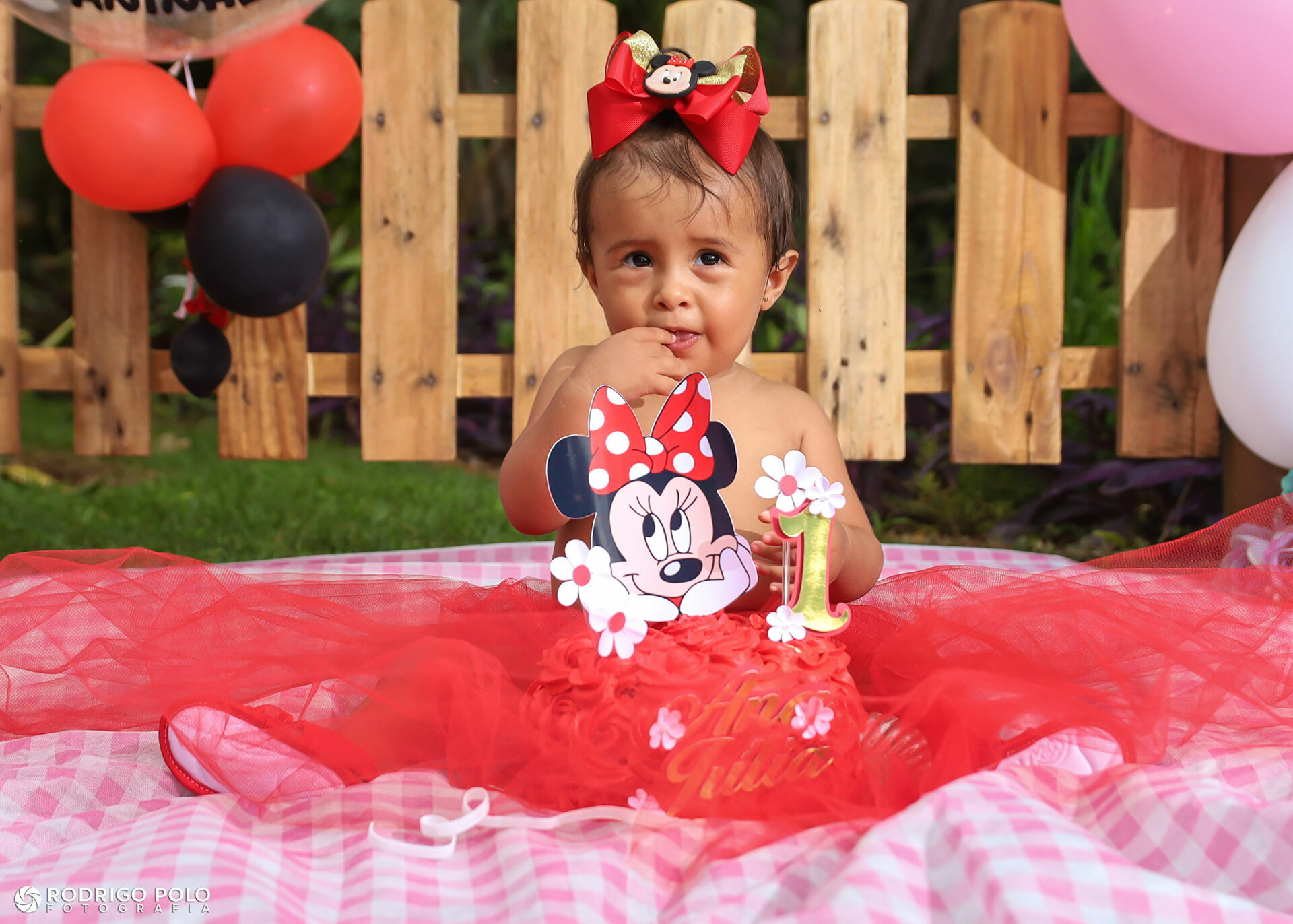 Foto Smash The Cake Ana Júlia Foto Smash The Cake Ana Júlia - Imagem 18