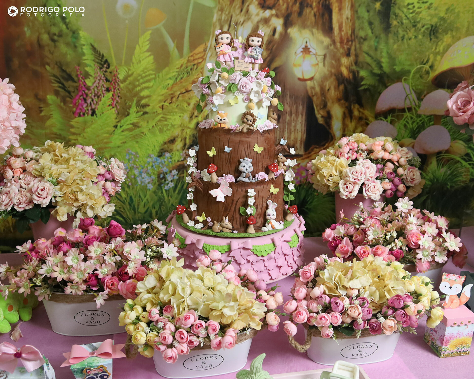 Foto Aniversário Luísa e Lavínia - 3 Anos - Imagem 3