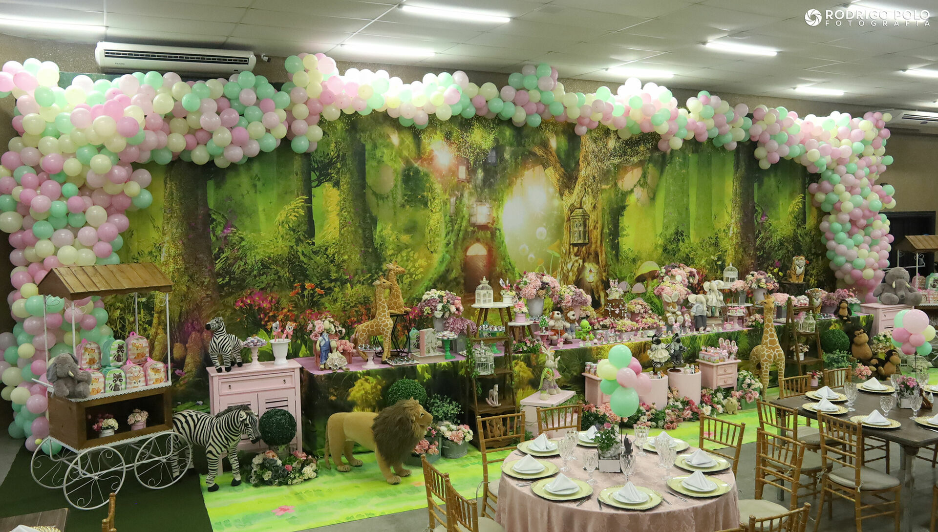 Foto Aniversário Luísa e Lavínia - 3 Anos - Imagem 2