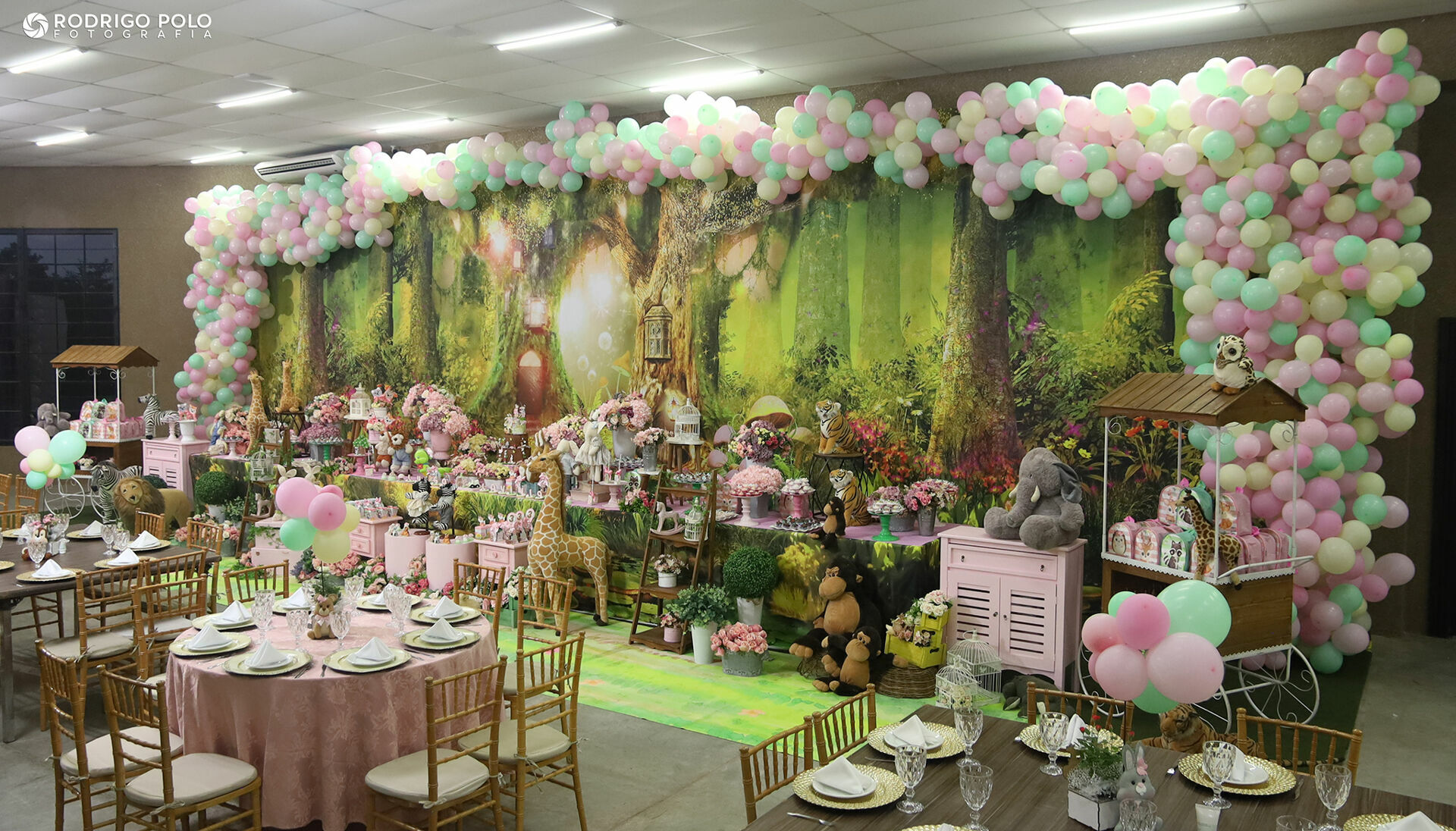 Foto Aniversário Luísa e Lavínia - 3 Anos - Imagem 1