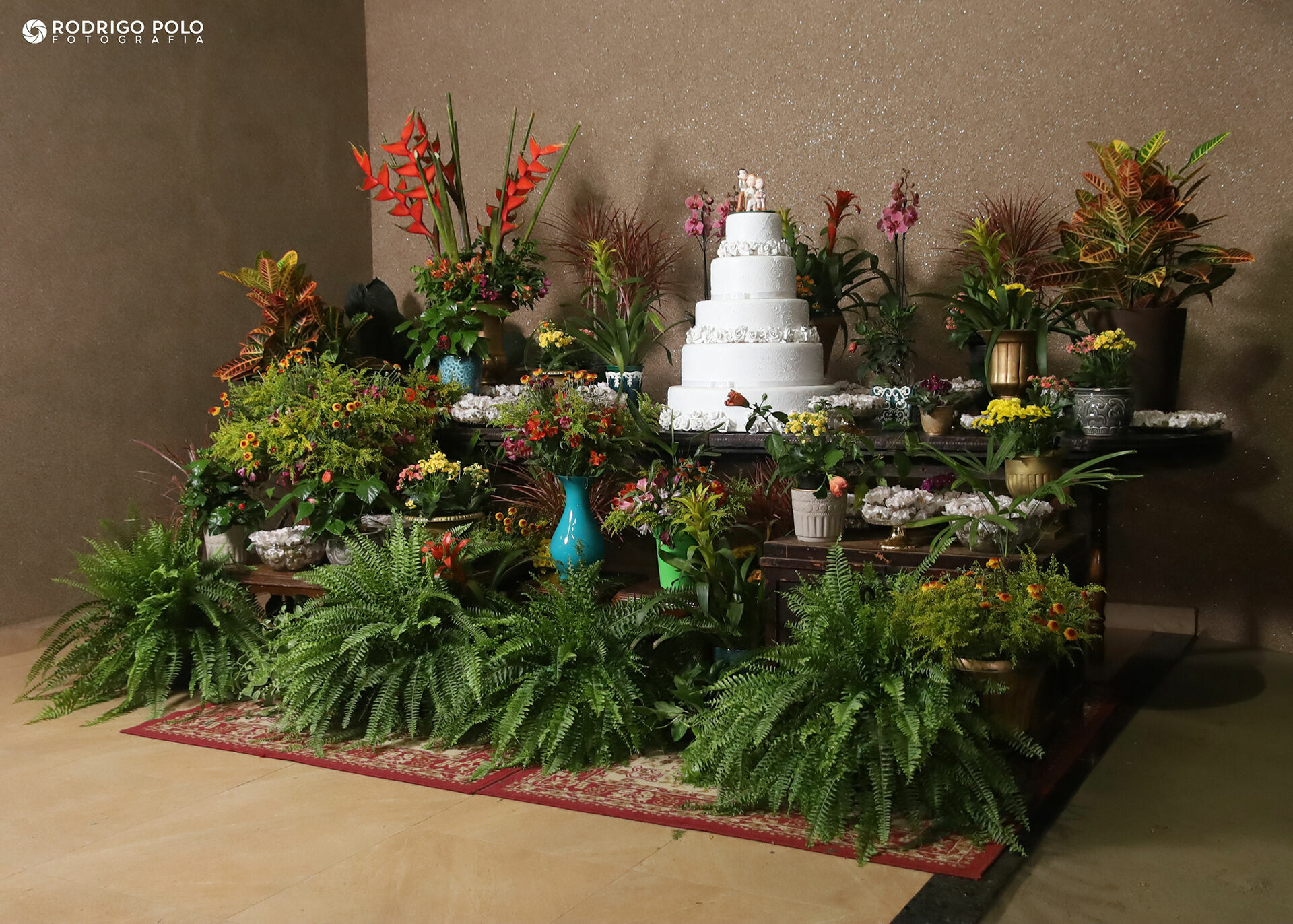 Foto Casamento Carol e Ricardo - Imagem 7